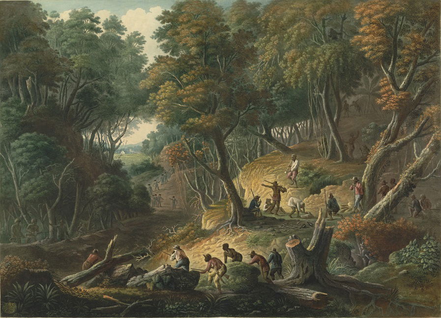 The Maroons In Ambush On The Dromilly Estate In The Parish Of T…