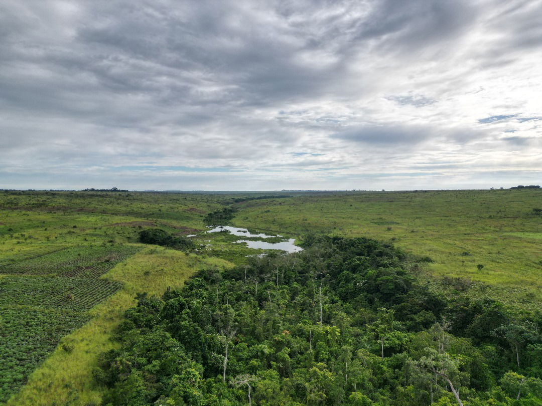 Réserve foncière de la Léfini Plateaux-Djambala