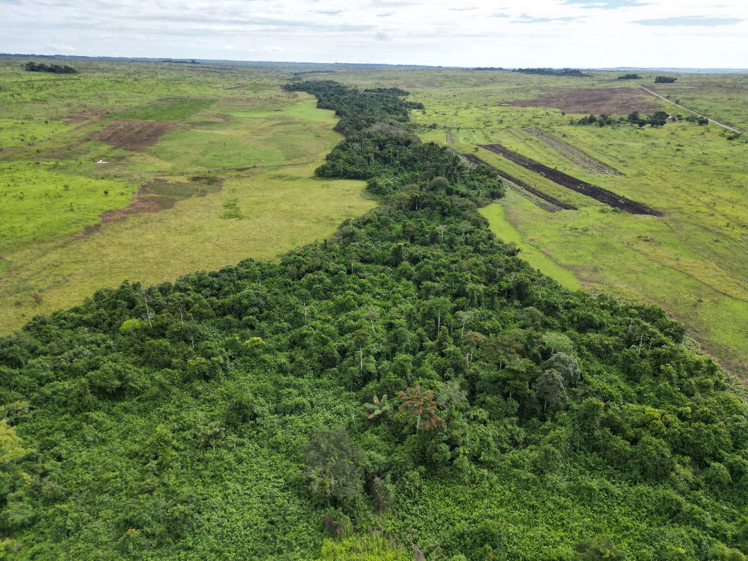 Réserve foncière de la Léfini Plateaux-Djambala