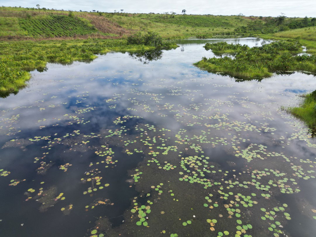 Réserve foncière de la Léfini Plateaux-Djambala