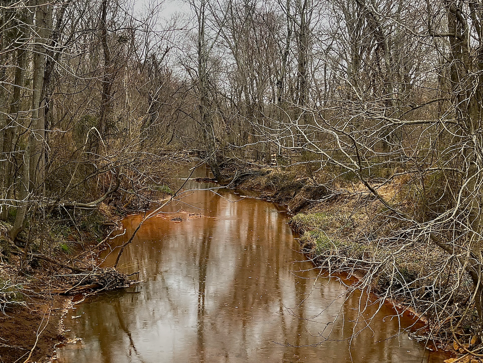 Manasquan River flowing Freehold, NJ