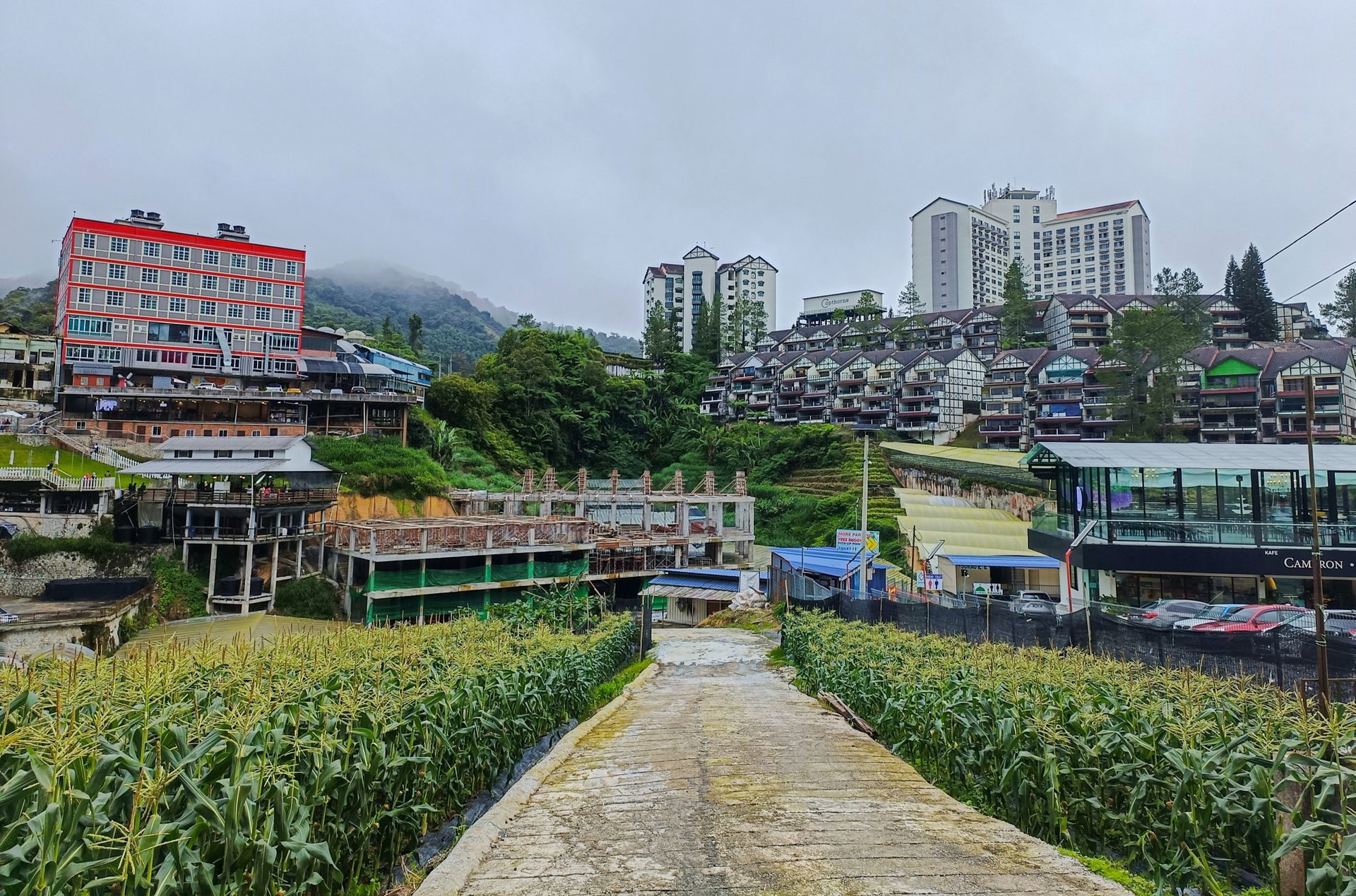 Kea Farm, Cameron Highlands 202412