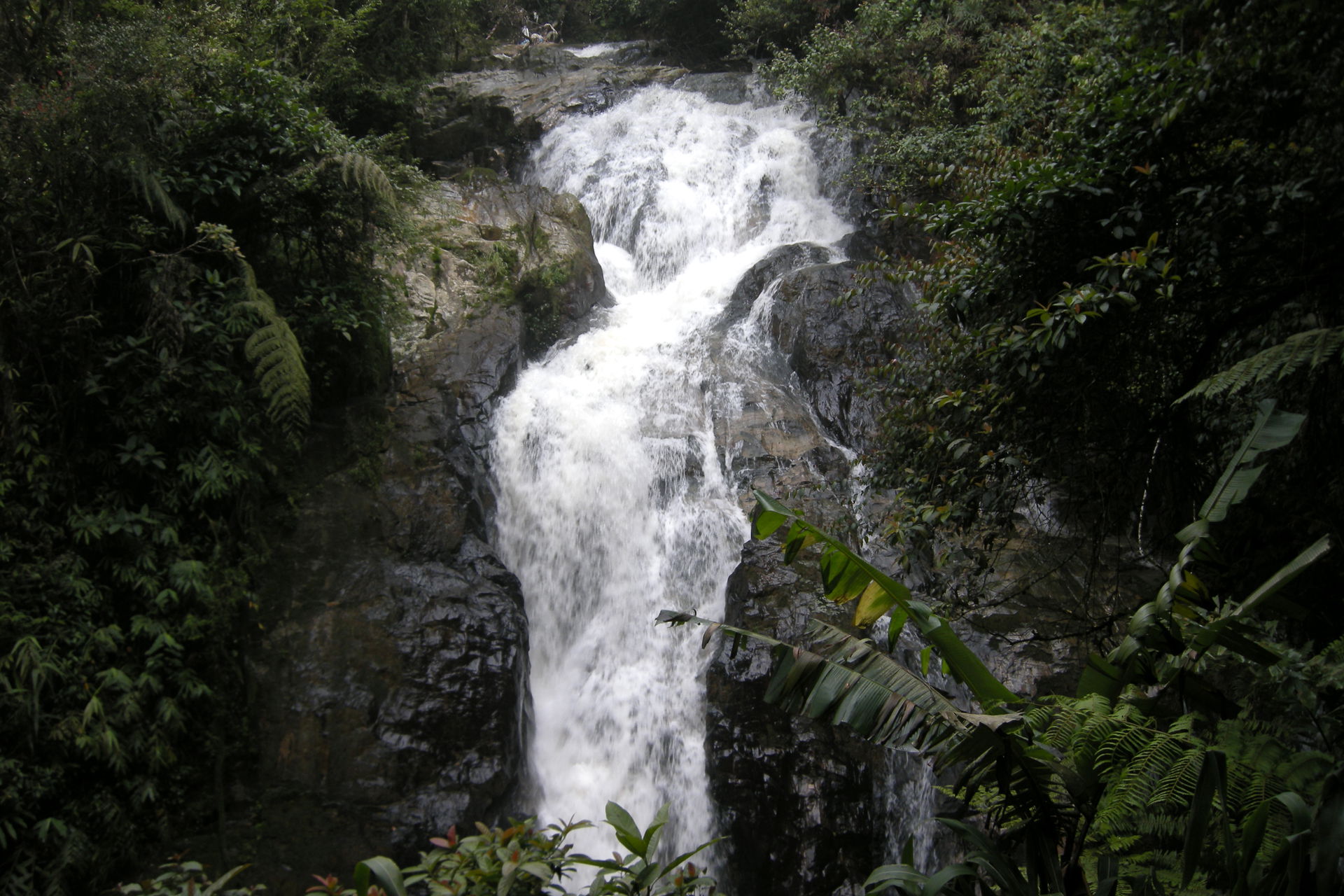 Cameron Highlands, Pahang, Malaysia. Part of Titiwangsa Range.