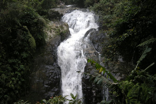Cameron Highlands