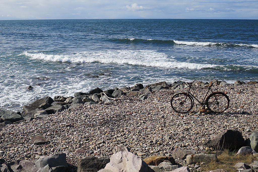 Abandoned Bicycle