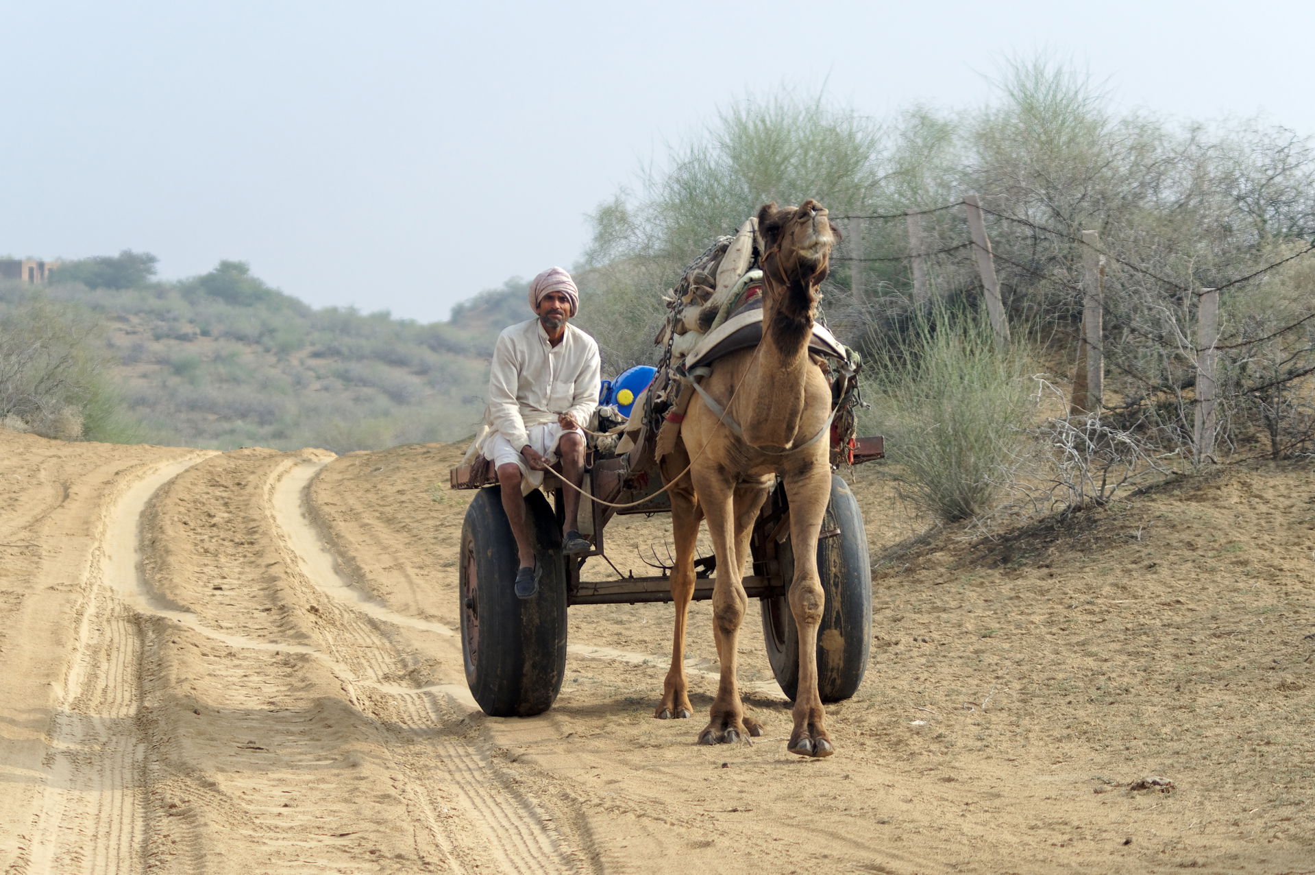 Man with camel-drawn cart on a desert road near Bikaner, India