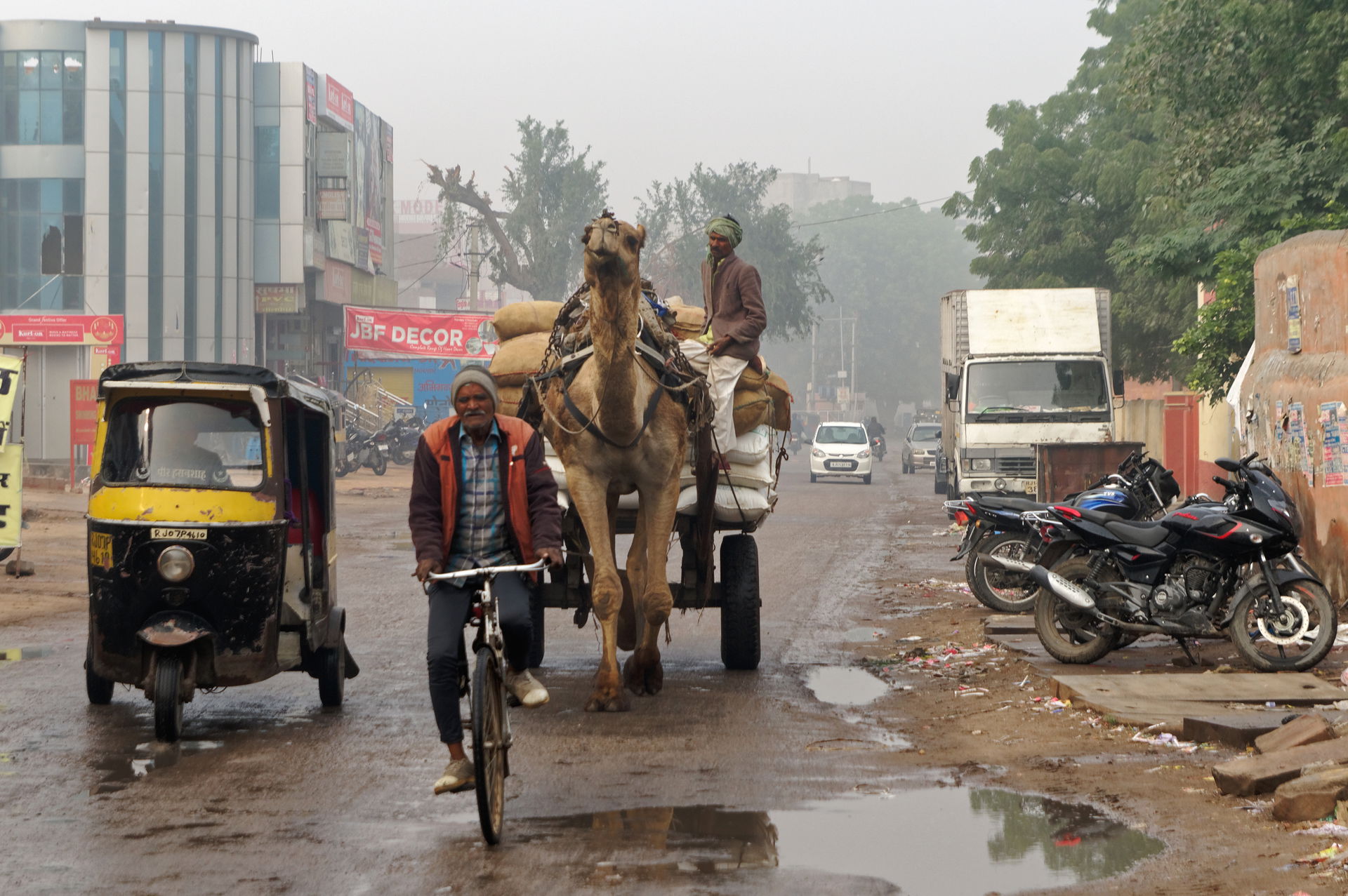 Camel-drawn cart, Bikaner, India