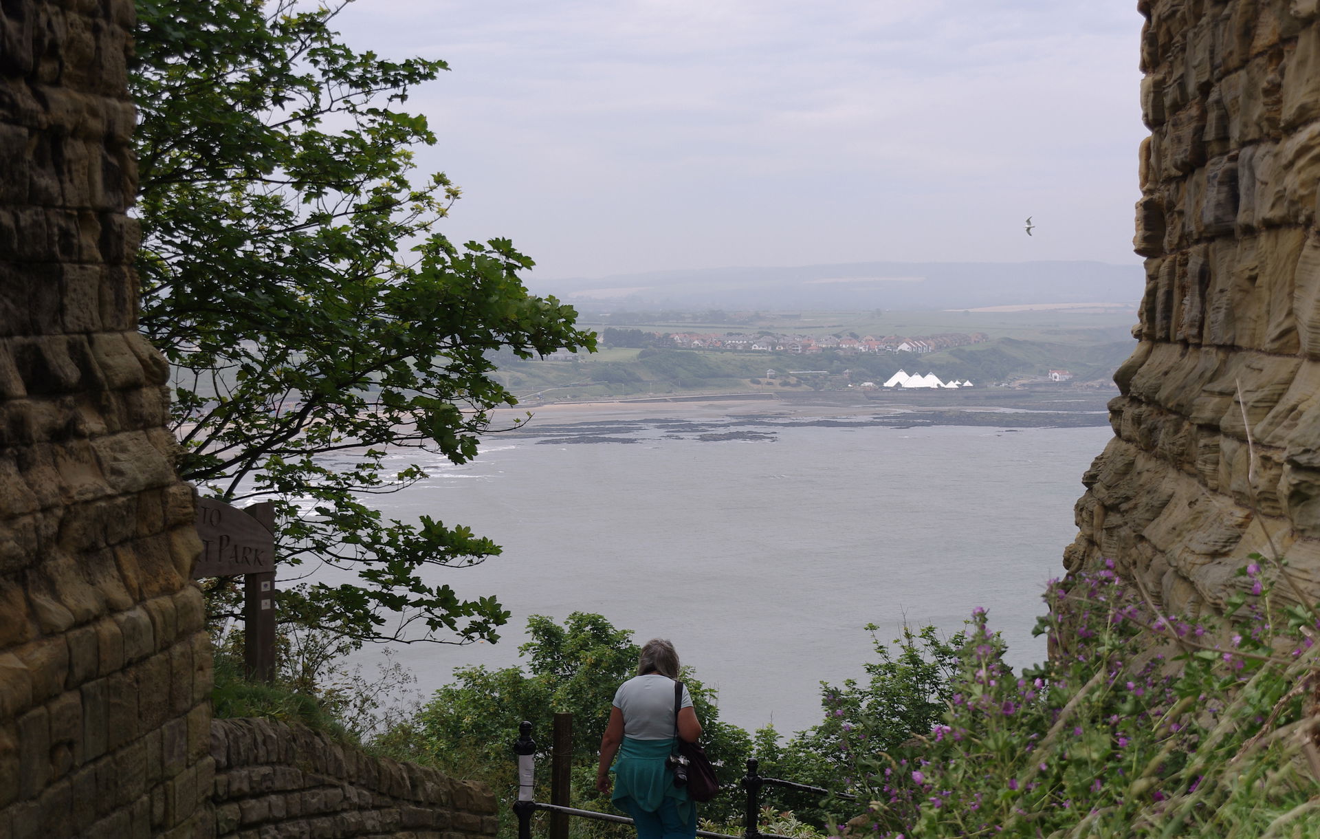 Scarborough north bay viewed from the castle.