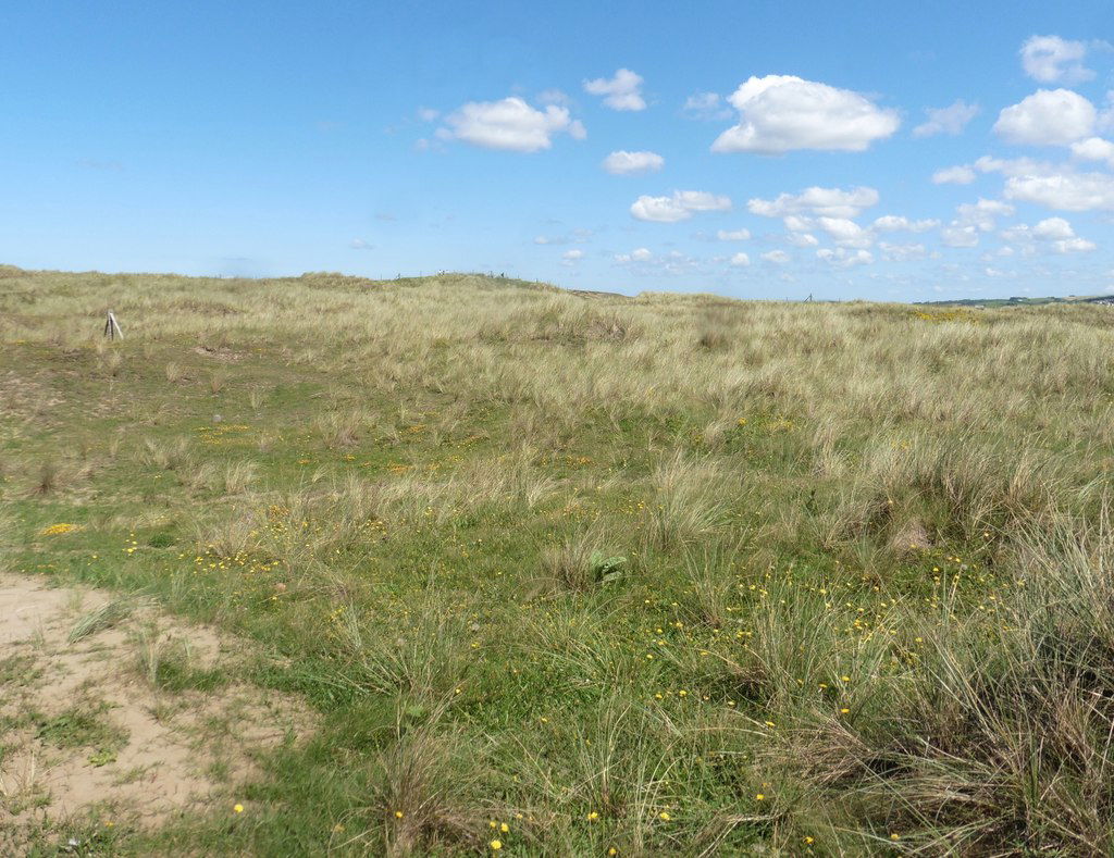 Northam Burrows