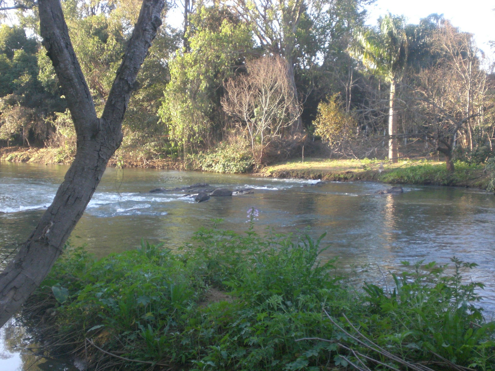 The Jaguari River in Jaguariuna - São Paulo