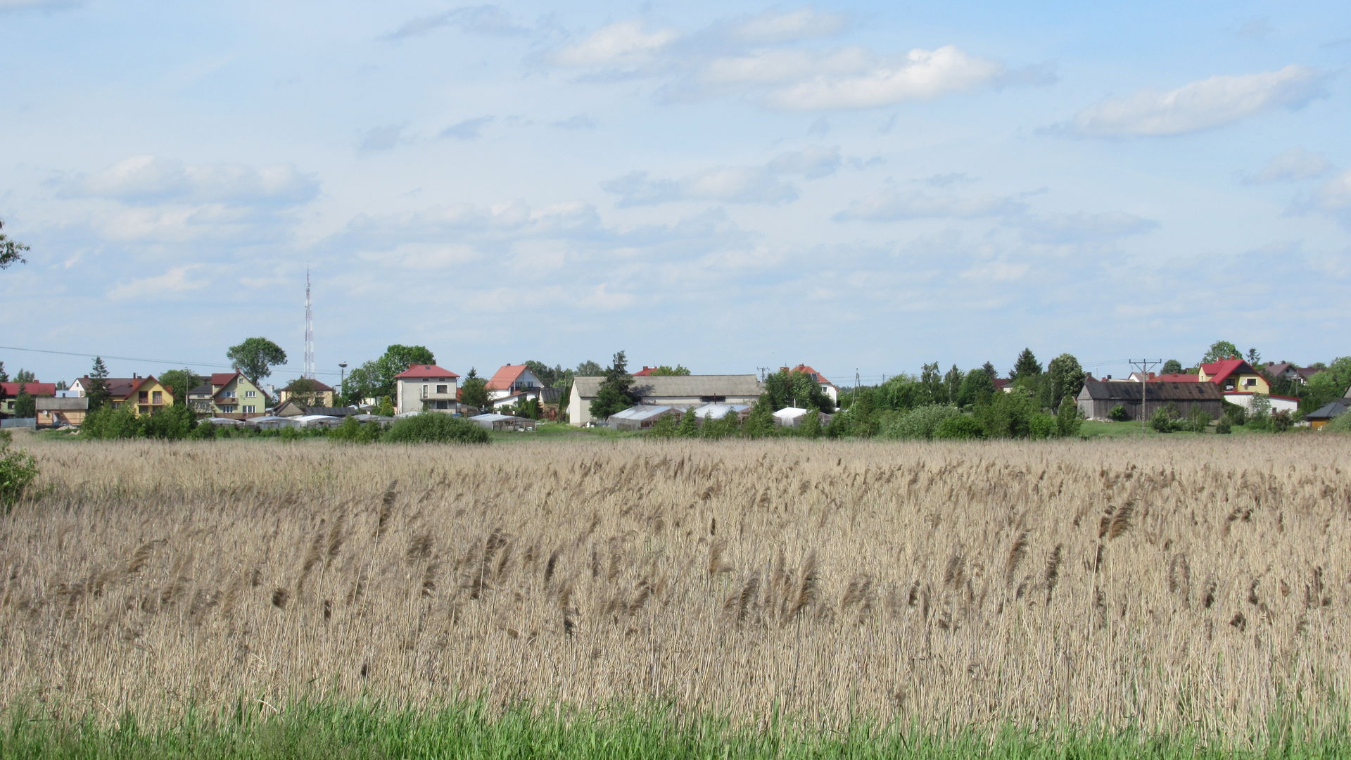 Biała Podlaska. Widok z al. Solidarności w kierunku północnym.