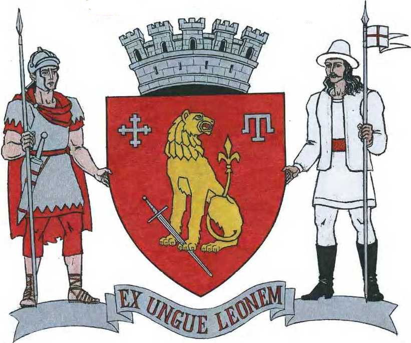 Stema orașului Căușeni