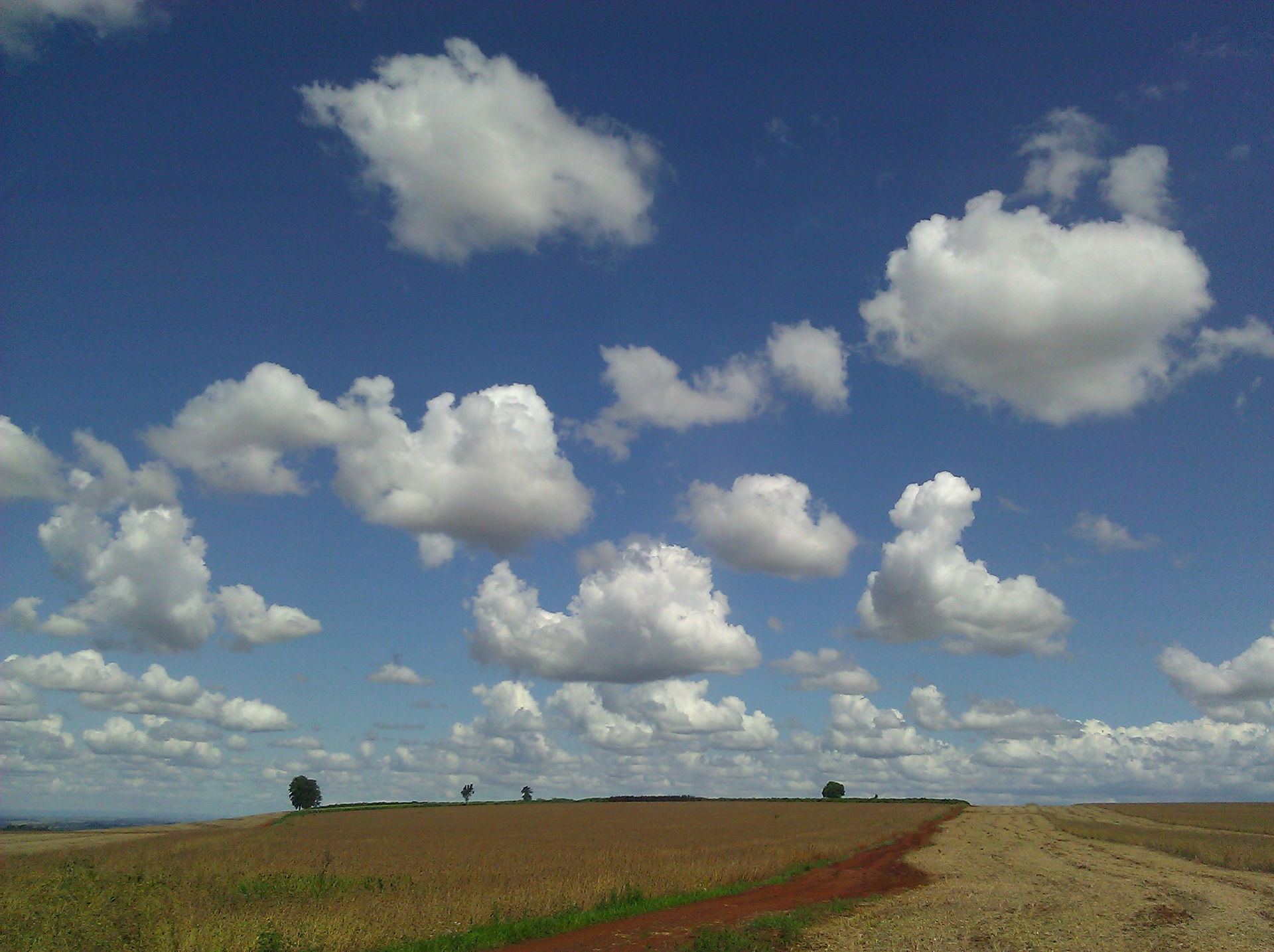 Rolândia - State of Paraná, Brazil