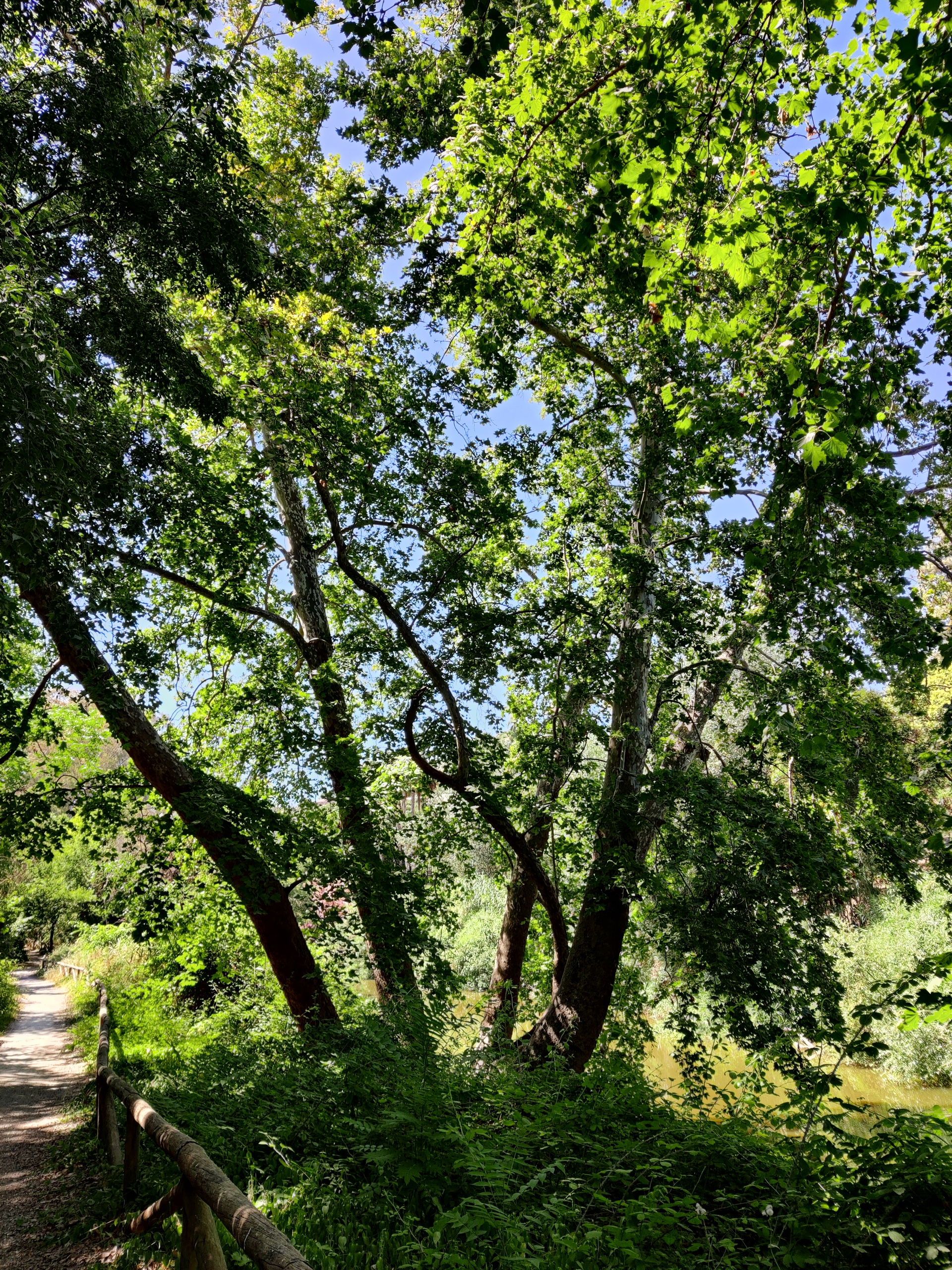 Ruta de los Molinos de Alcalá de Guadaíra (España)