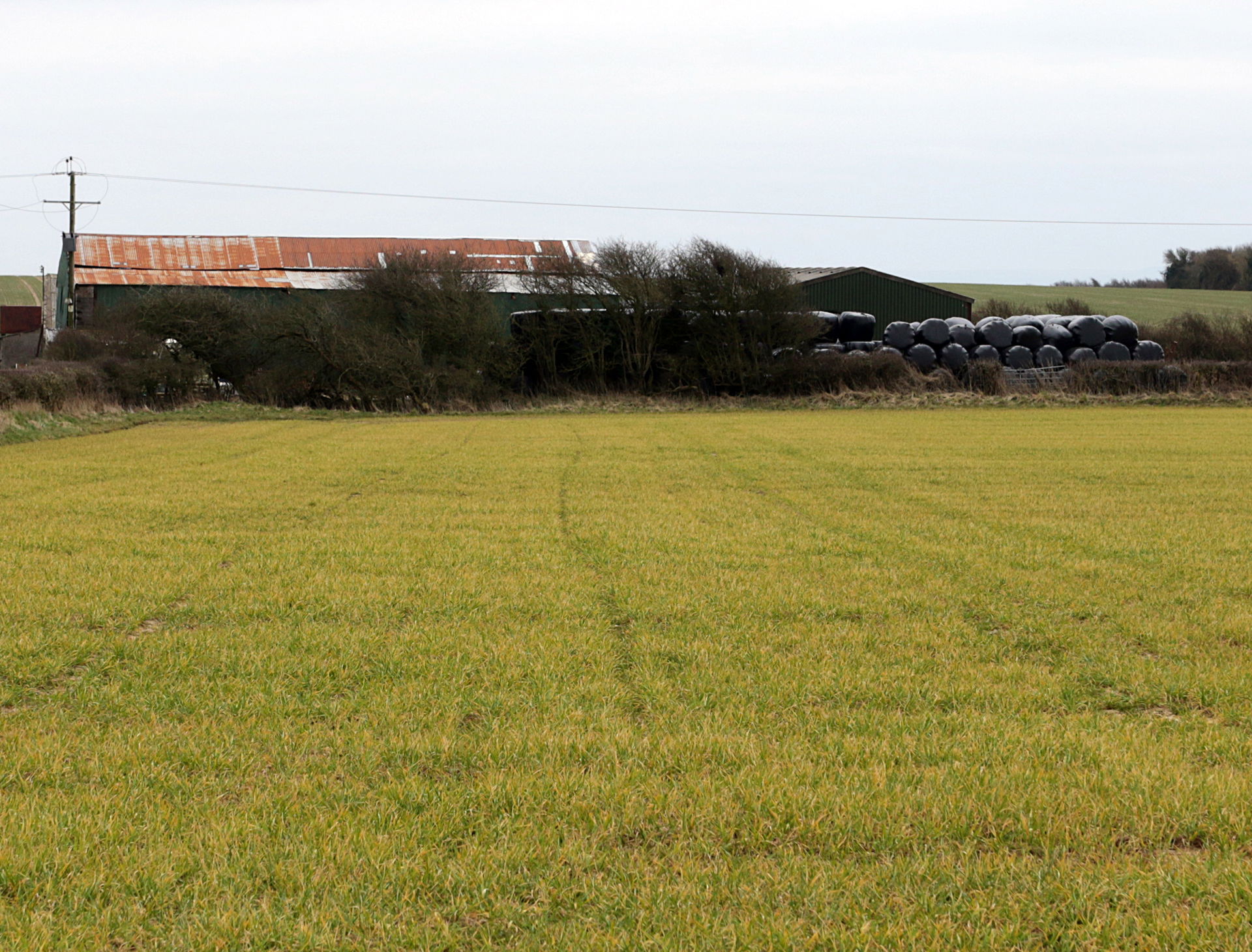 Cae Bush Farm