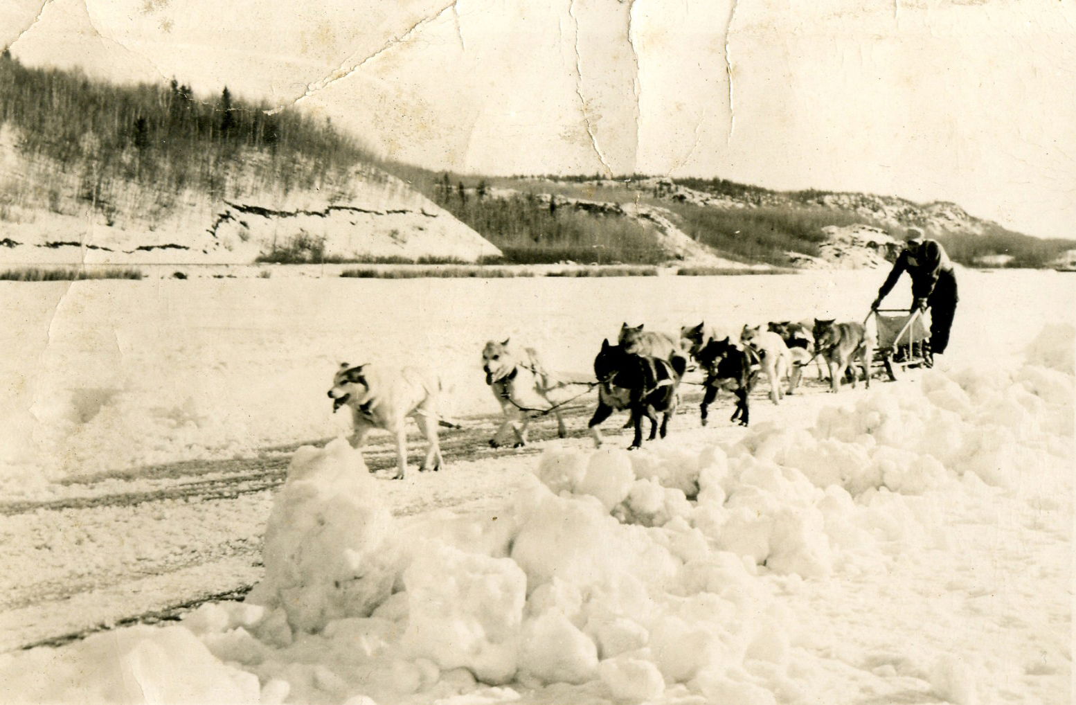 Dog sled race, Flin Flon, Manitoba