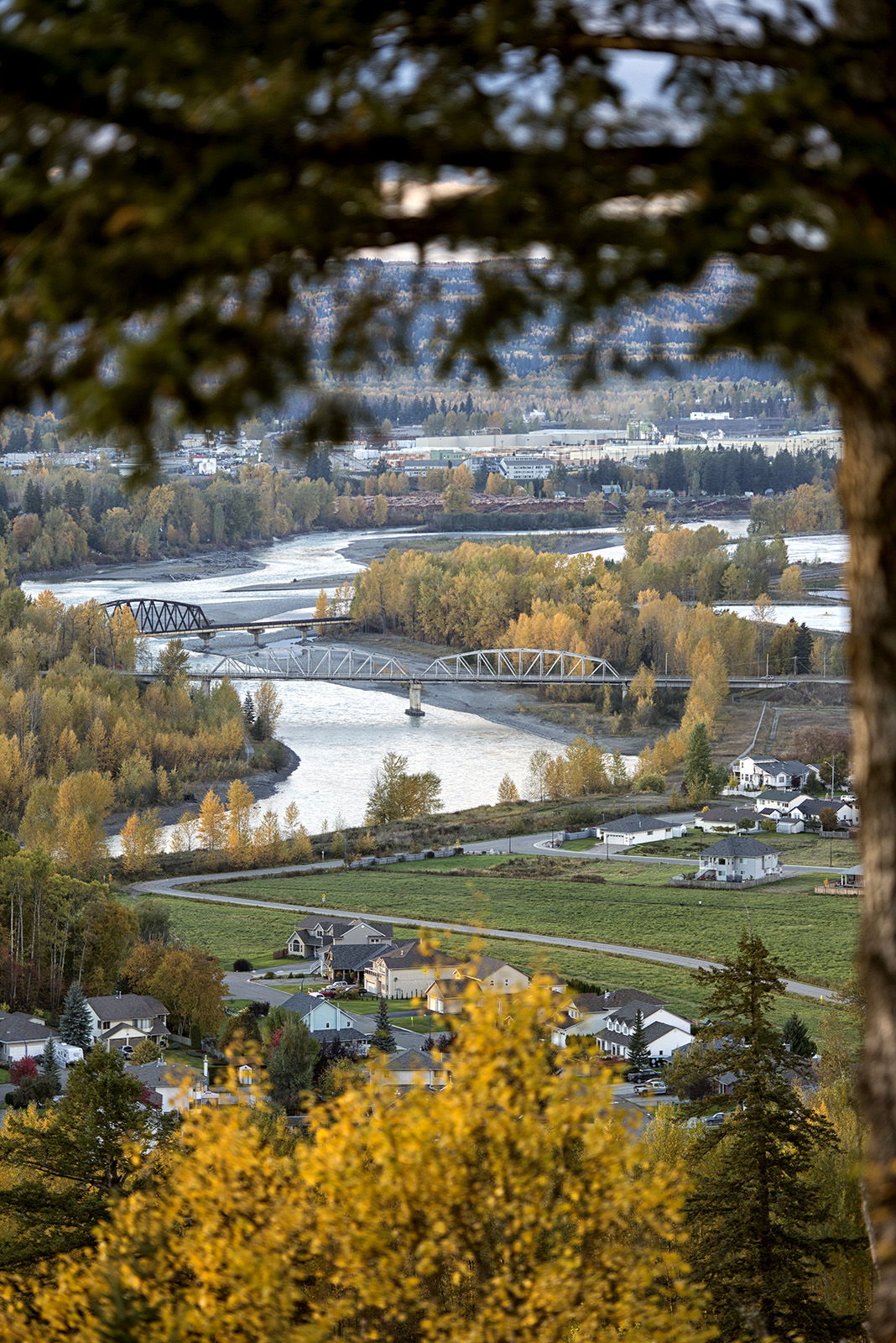 Bridges over the Quesnel River, from Red Bluff