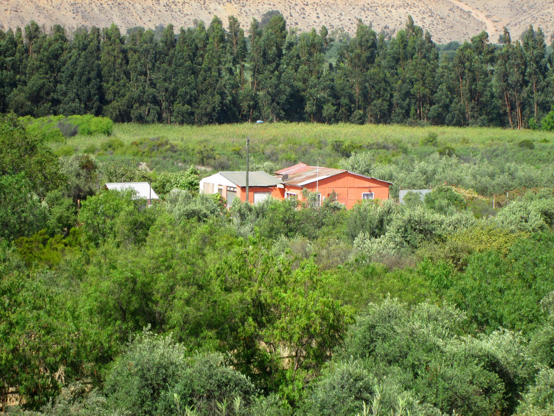 Casa de Huasco Bajo
