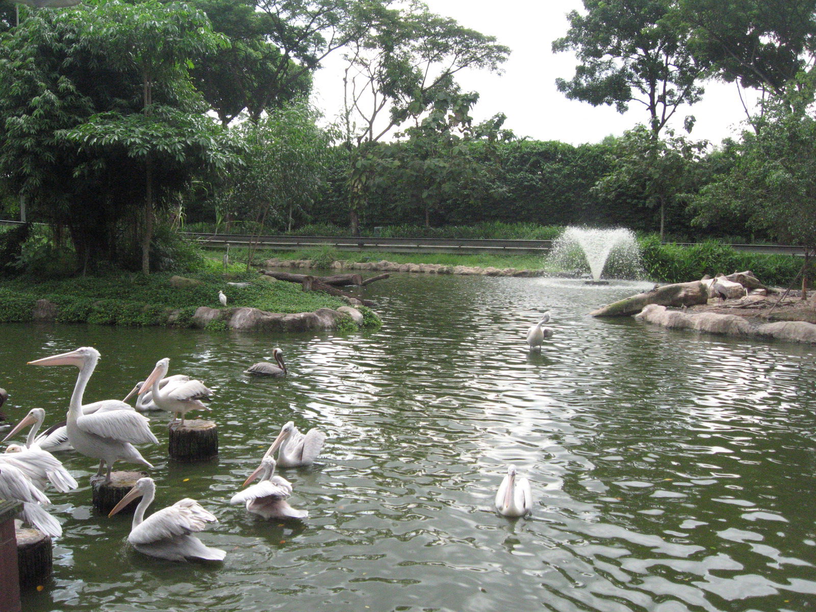 Jurong BirdPark. Taken by Terence Ong in November 2006.
