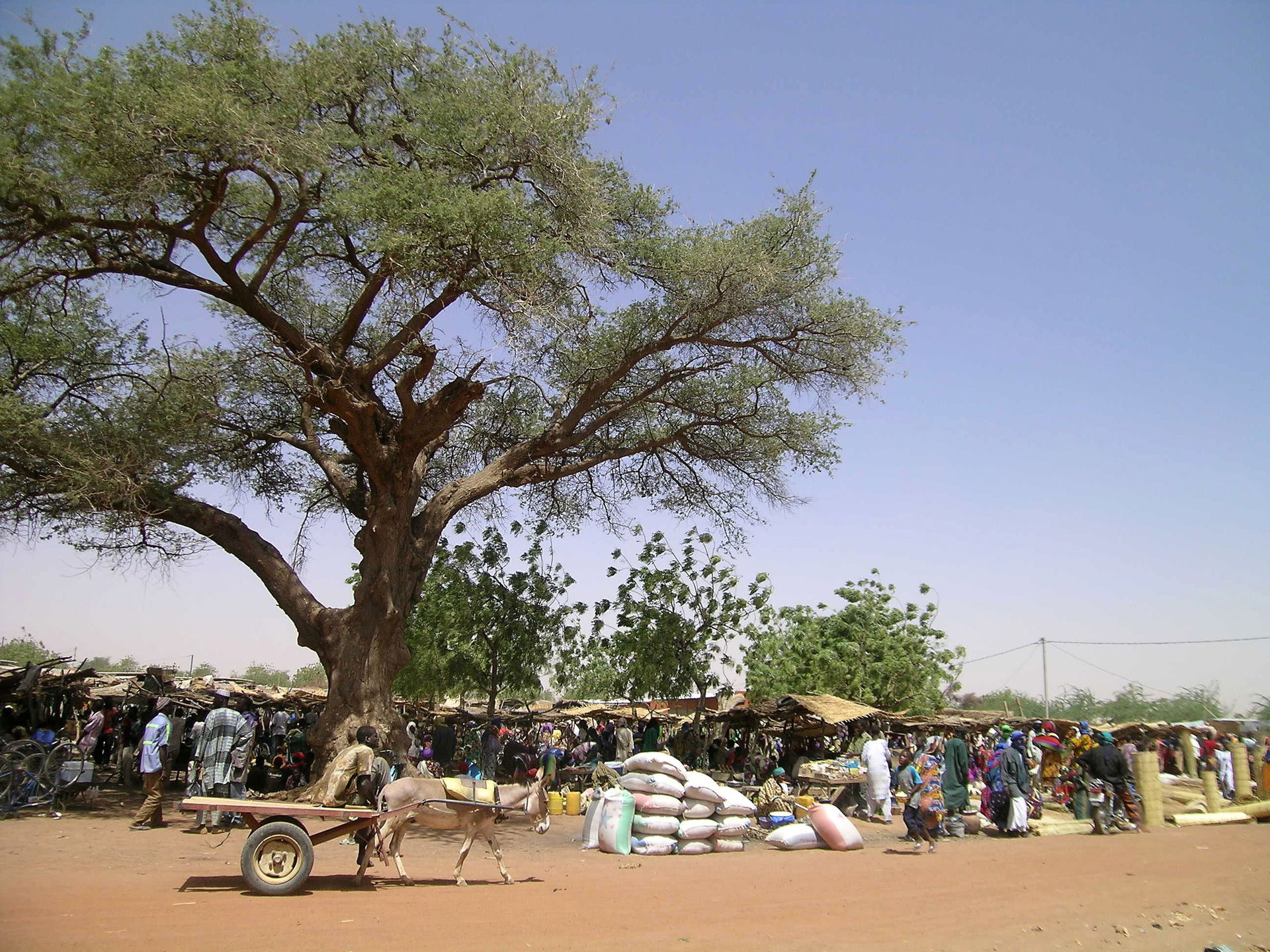 marche de Gorom-Gorom, Burkina Faso