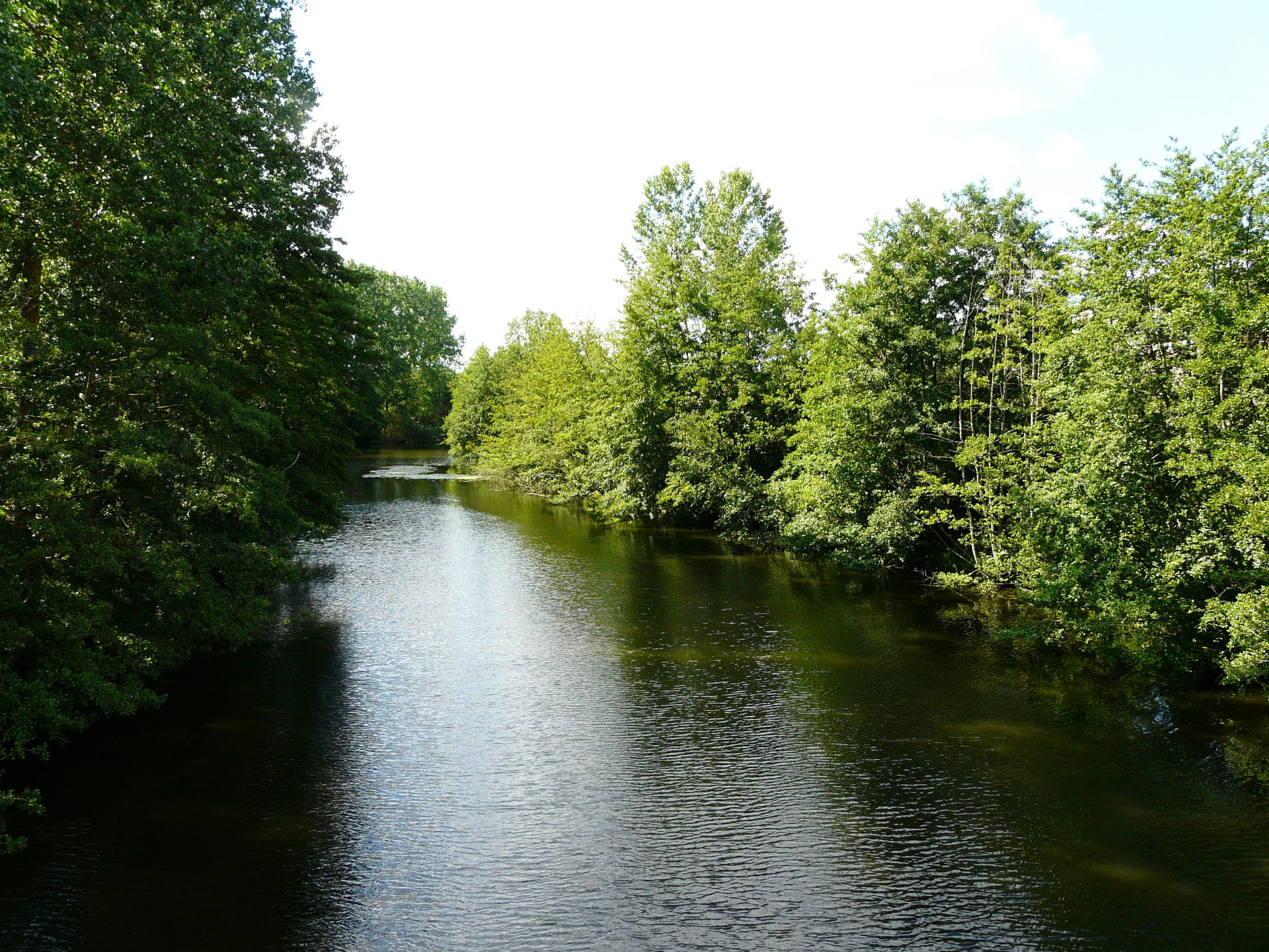 Le Thouet en aval du pont de Vernay, Airvault, Deux-Sèvres, Fra…