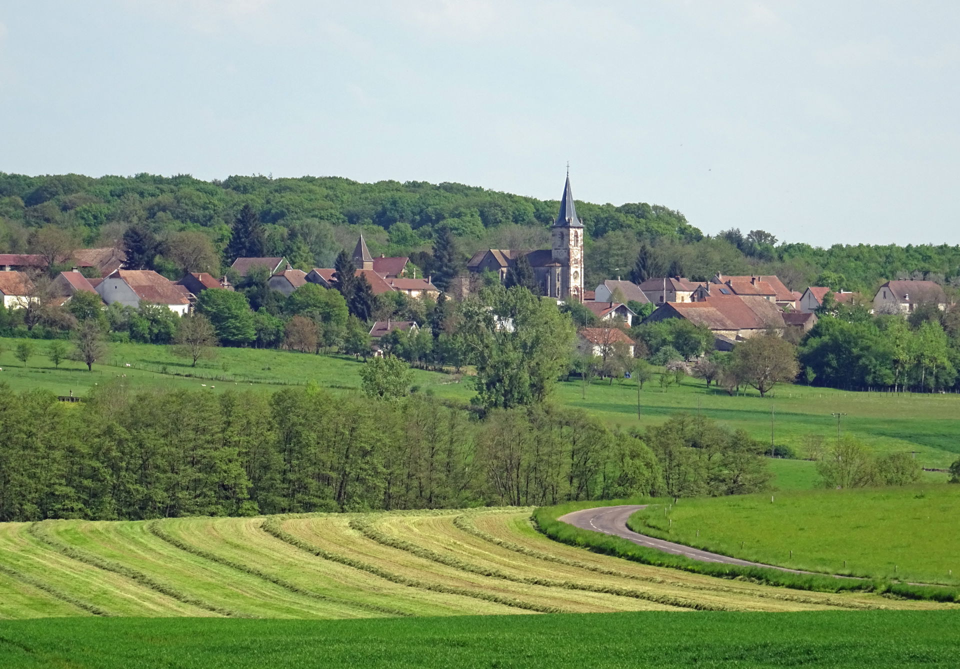 Vue génrale de Châtenois (Haute-Saône).