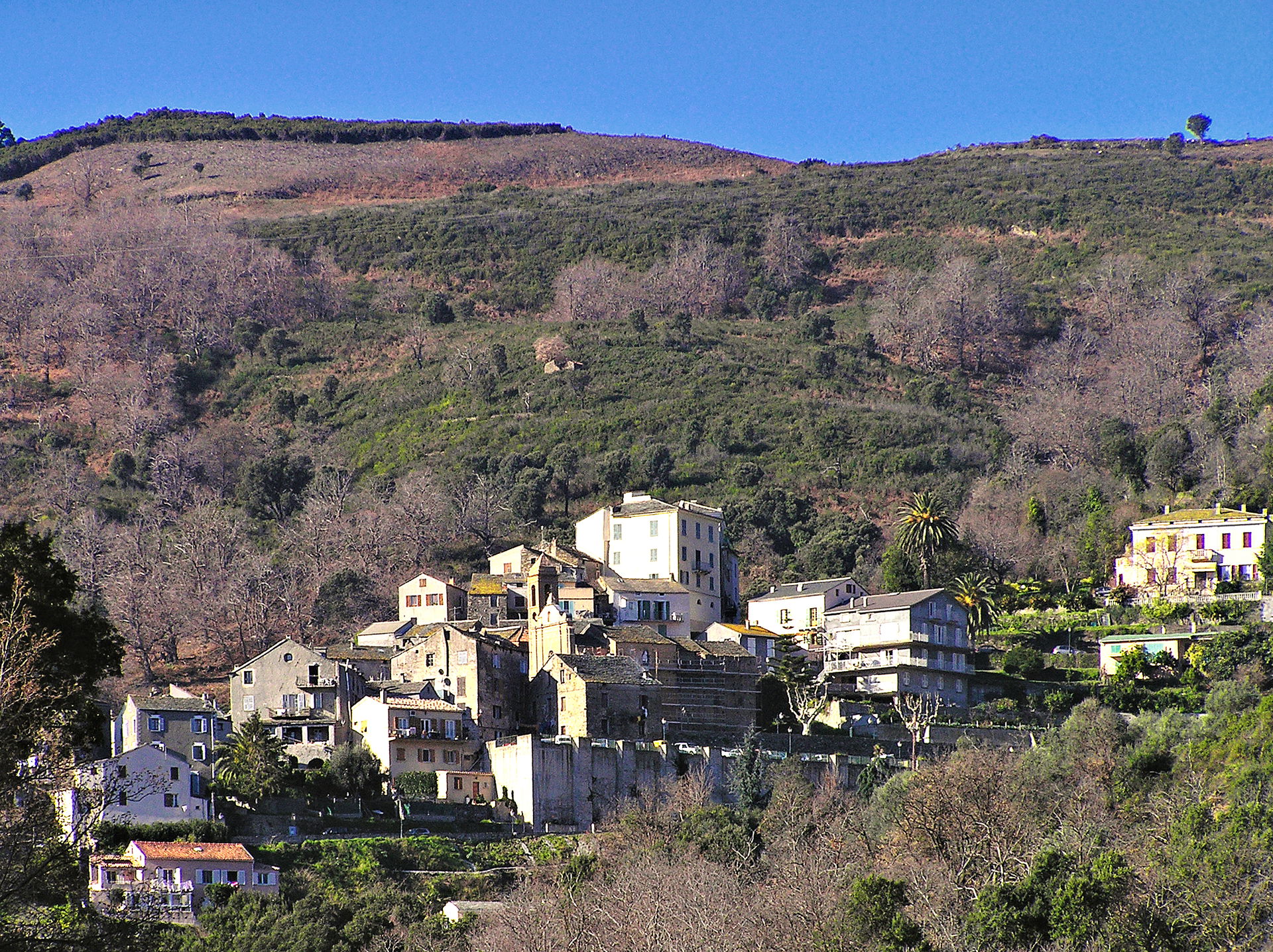 Lucciana village