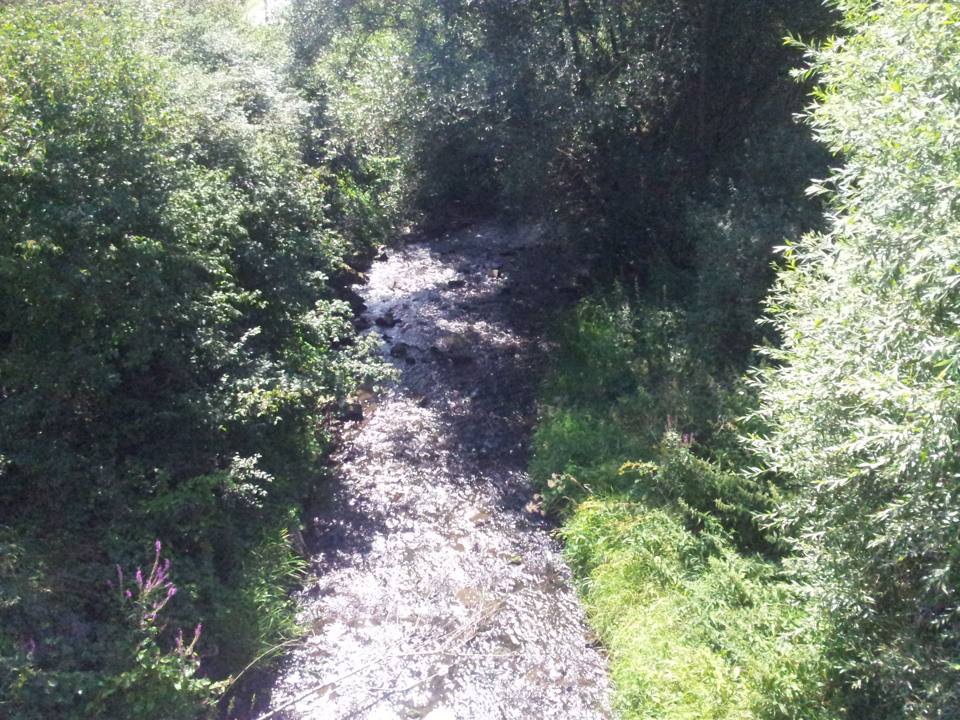 La Roanne entre Varangéville et Lenoncourt.