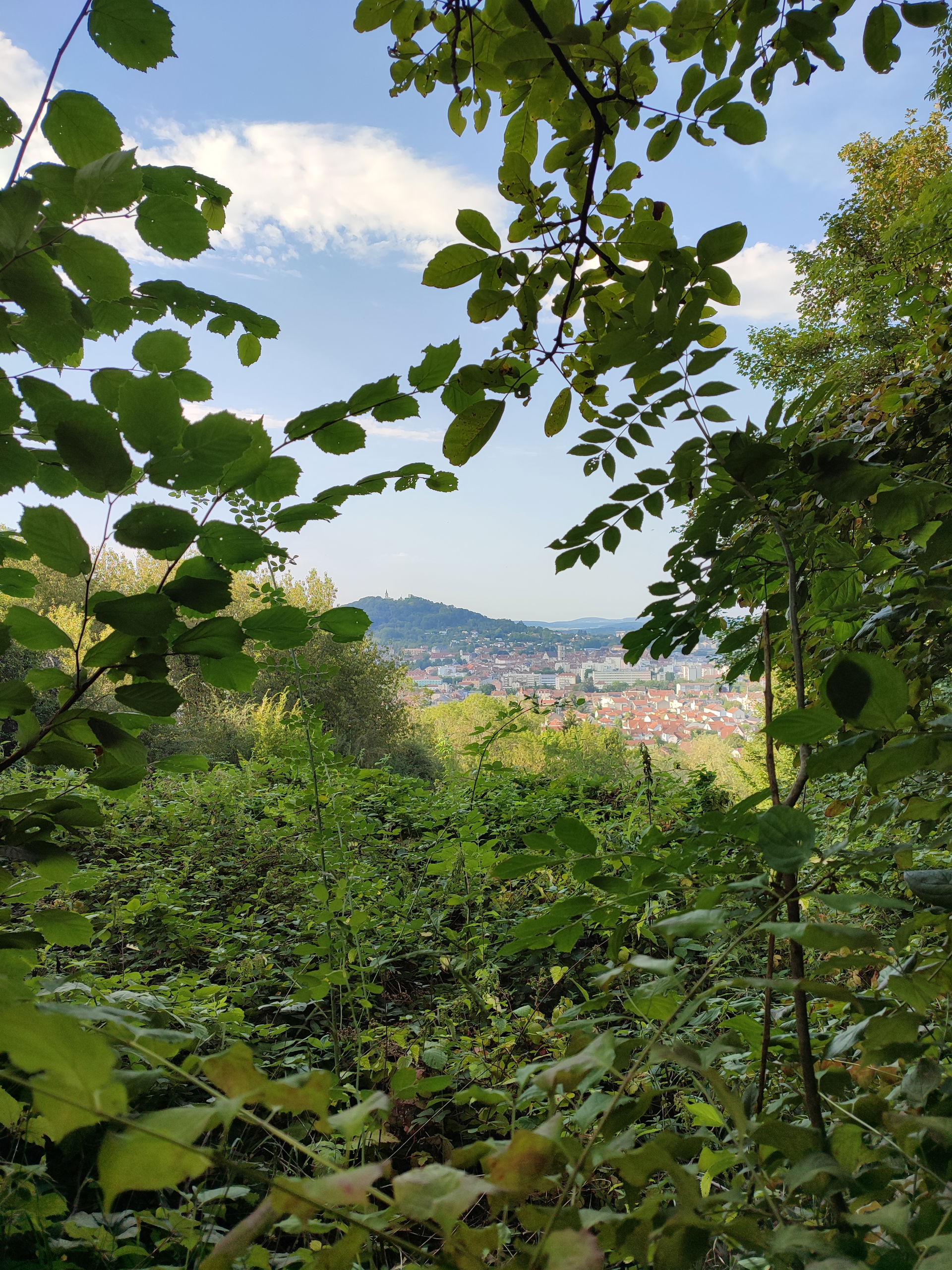 Vesoul vu depuis Cita