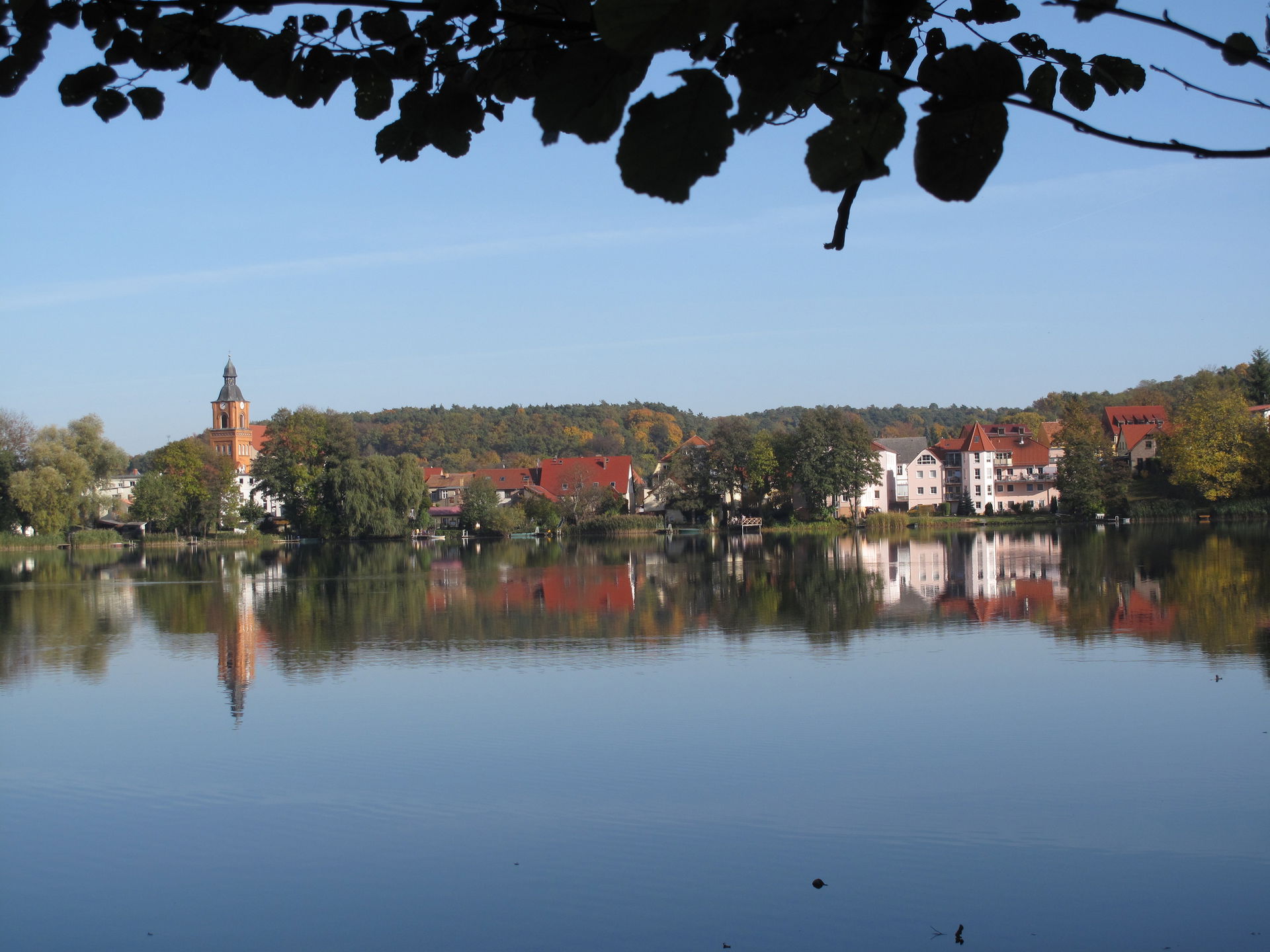 View of the western shore of the Buckowsee to the center of Buc…