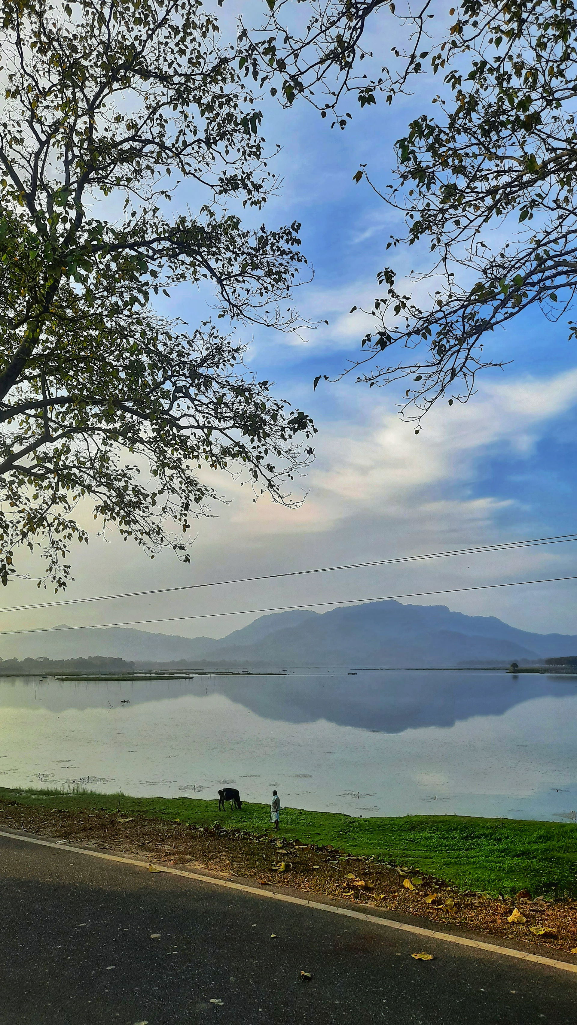 Tamranga Beel : A prominent tourist destination in the Bongaiga…