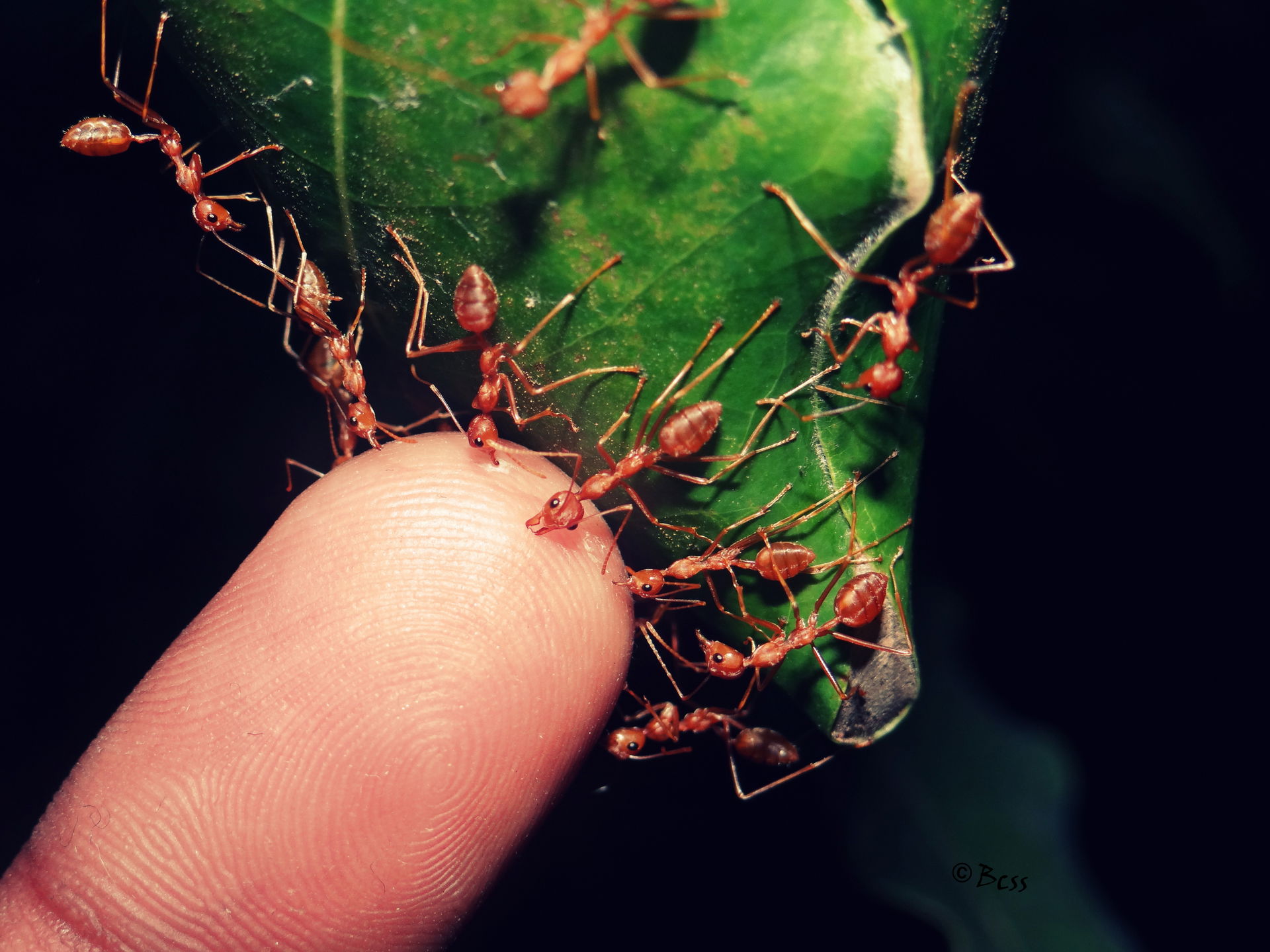 When man indulges in affecting nature and its composition throu…