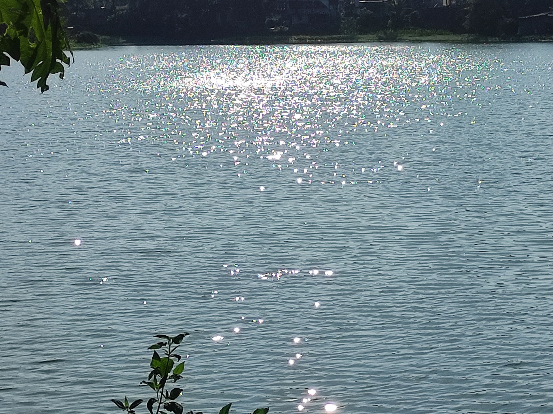 beautiful lake and reflection of light