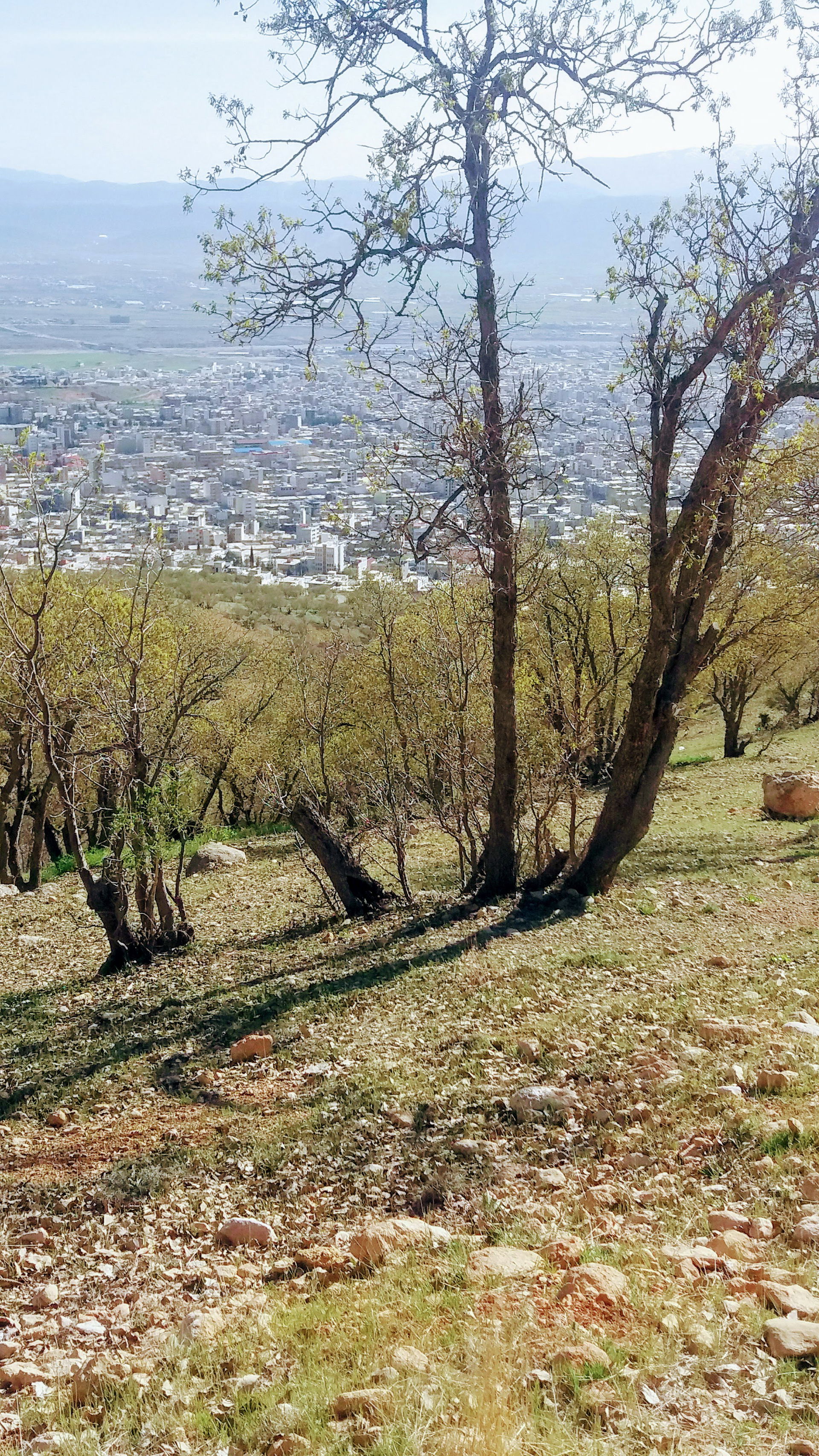 نمای از شهر یاسوج