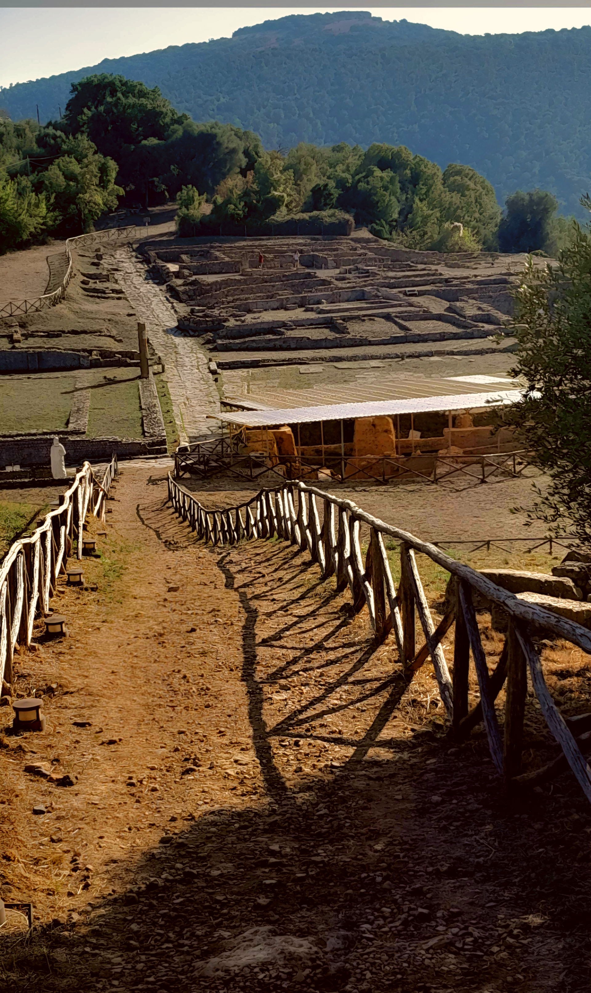 Area archeologica roselle