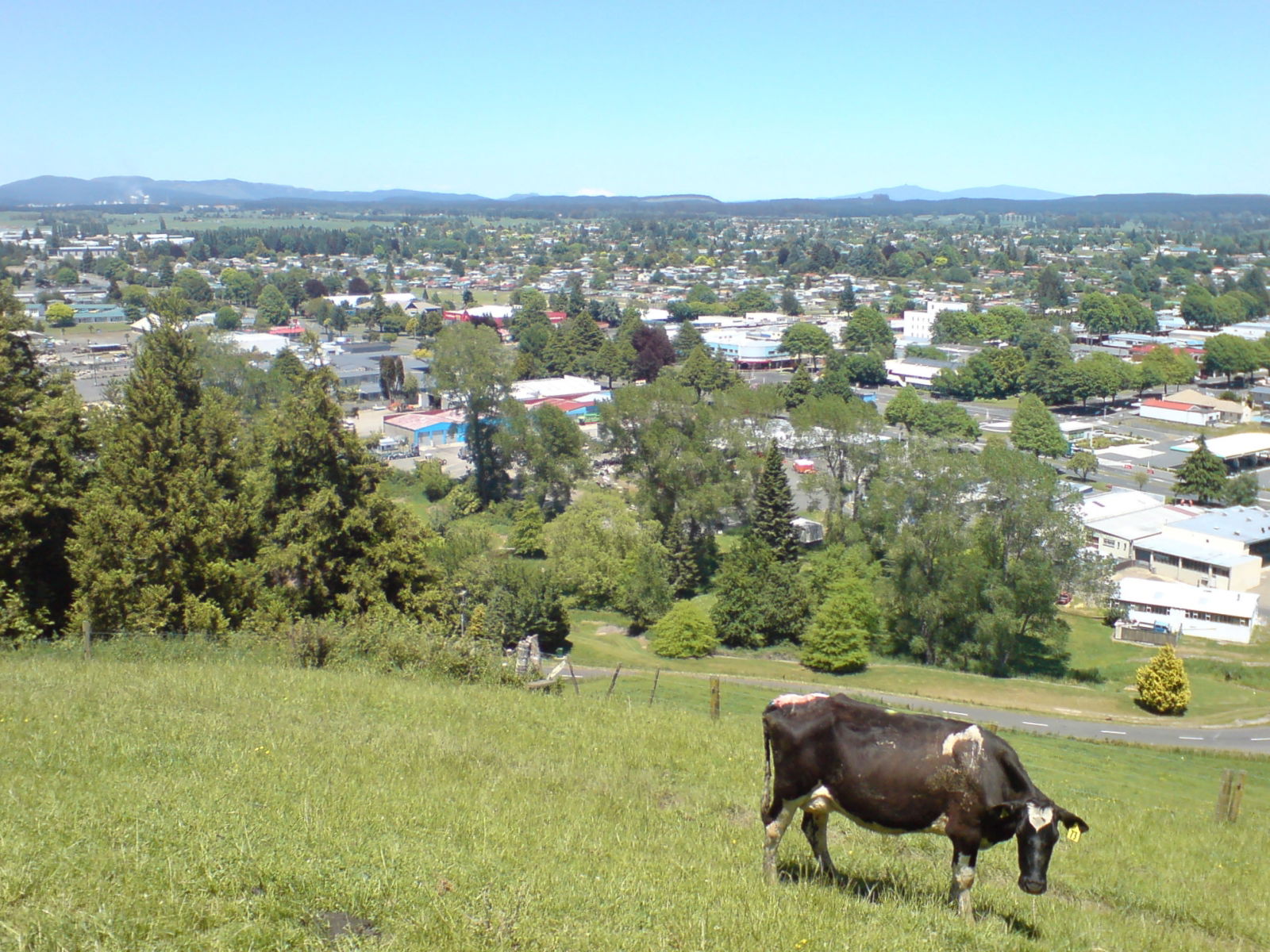 A view over Tokoroa, Region of Waikato, New Zealand from a hill…
