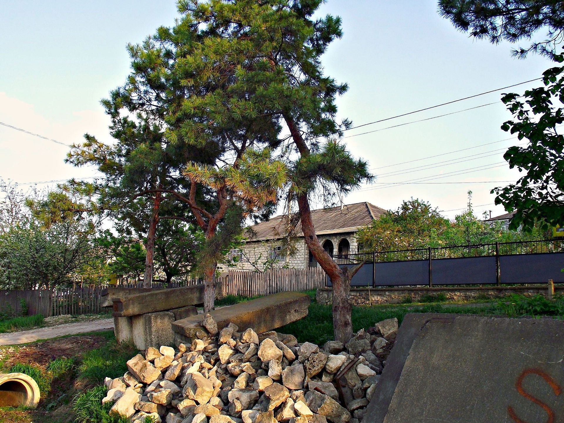 Mihalasa Noua, Moldova