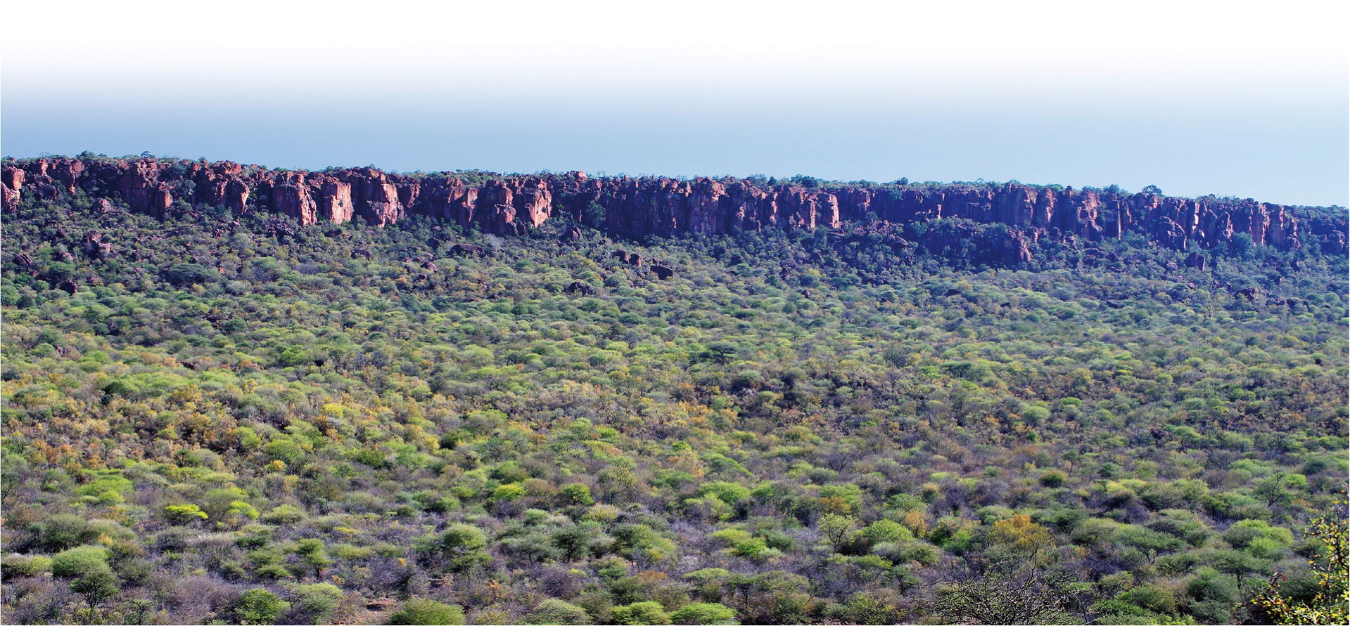 Waterberg Mountain in Namibia with dense bush stand