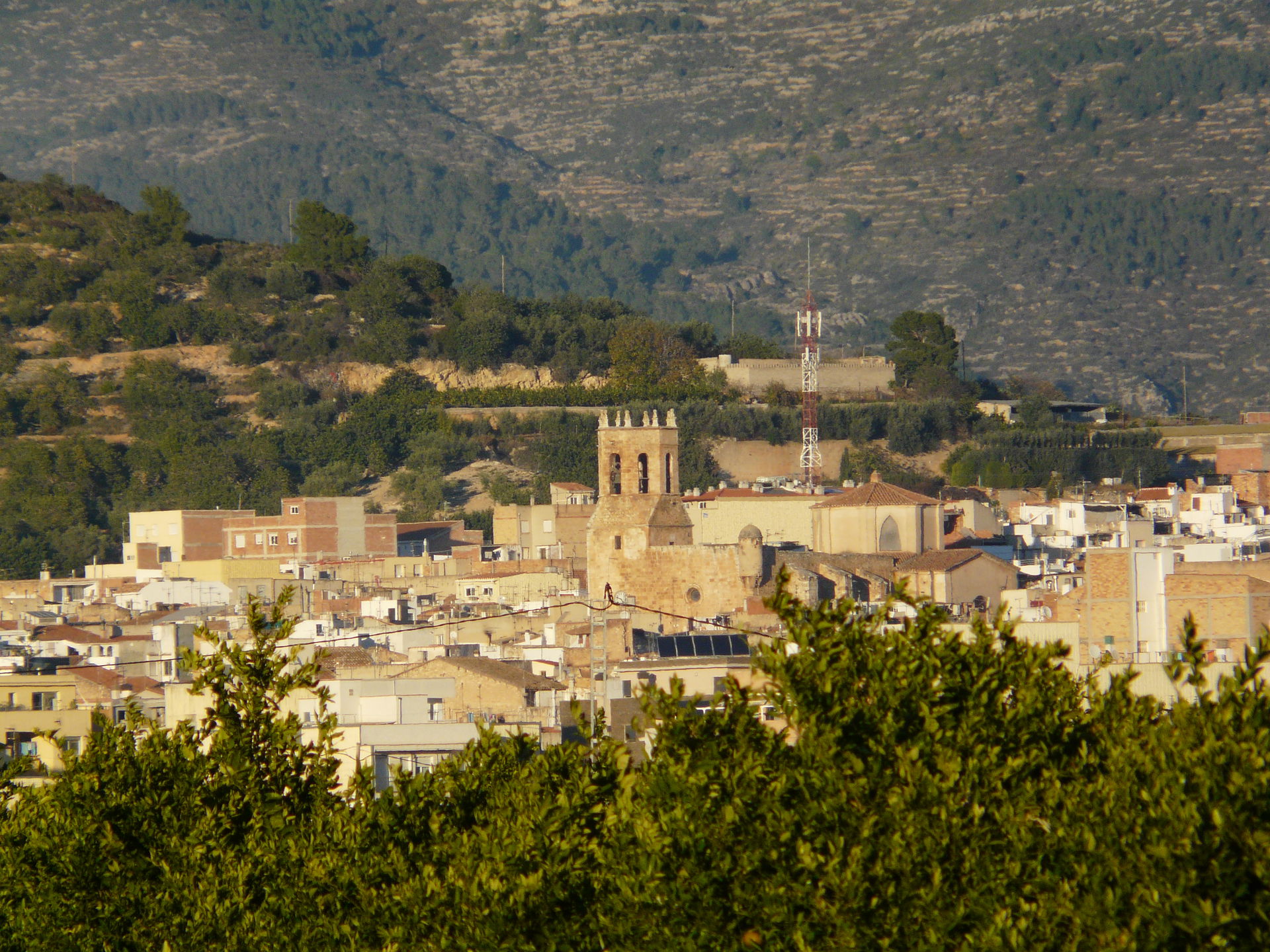 Església parroquial de Sant Miquel. Pl. Sant Miquel (Alcanar).