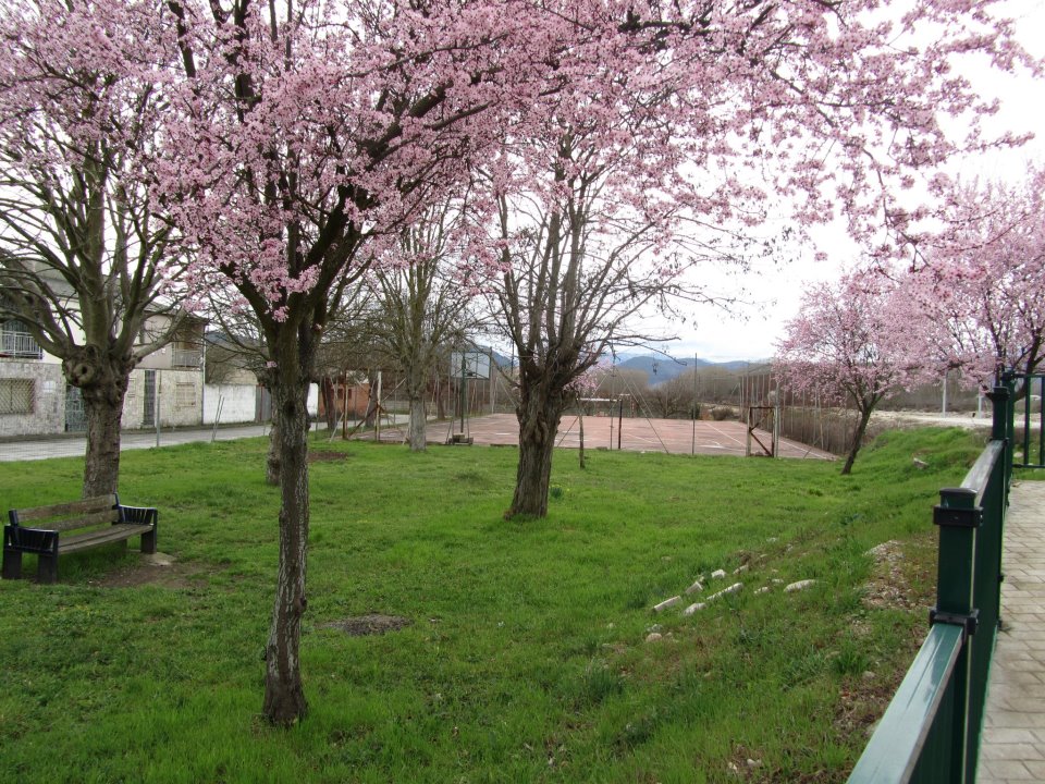 Polideportivo en primavera.