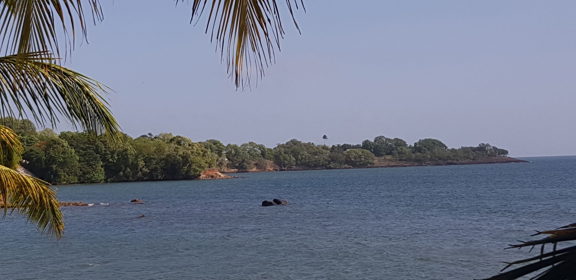 Pointe du Comté (Sainte-Rose, Guadeloupe)