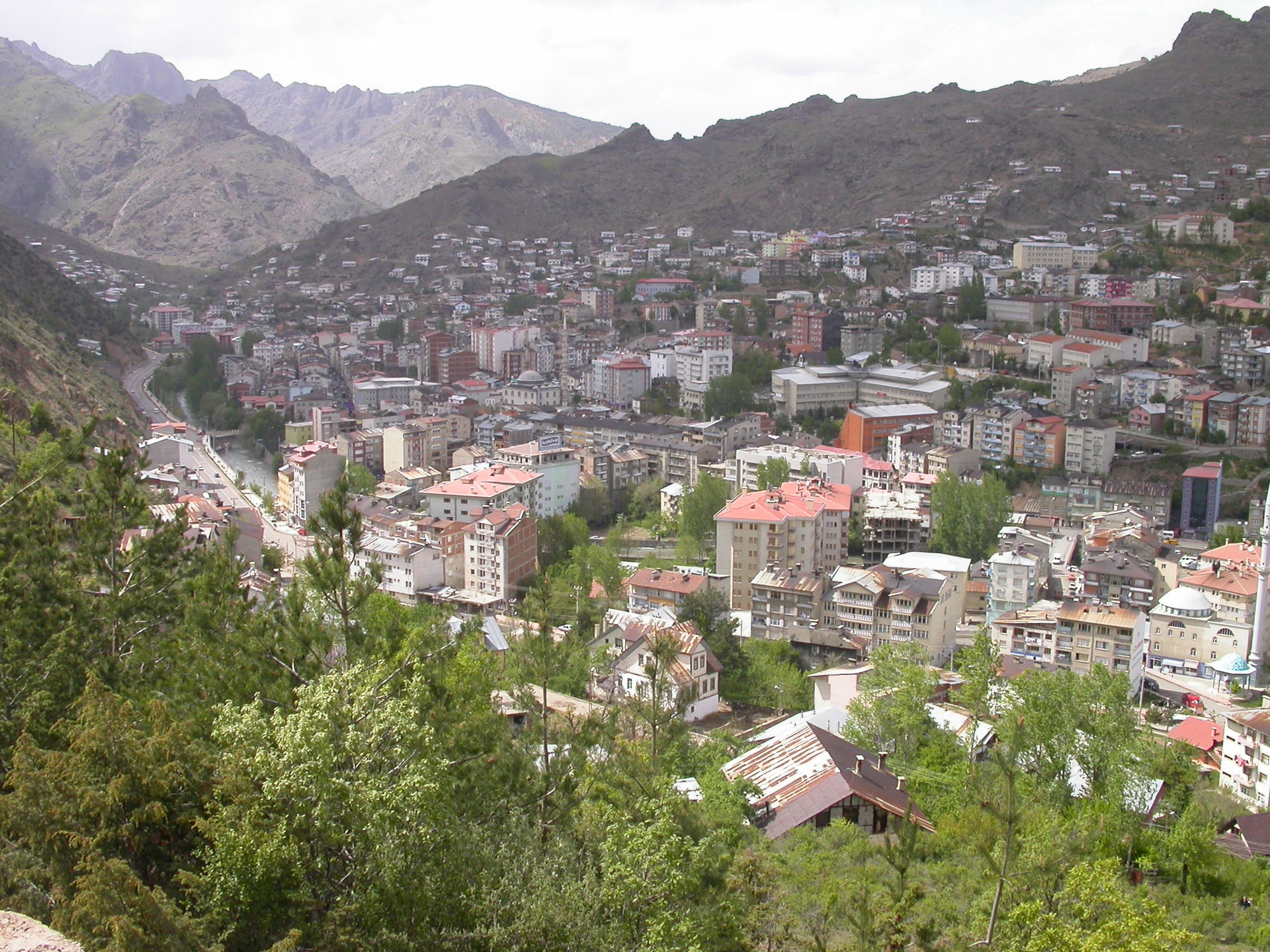 Merkez