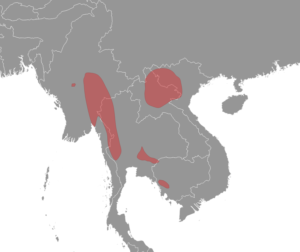 Distribution of Mus shortridgei. Red - Extant (resident).