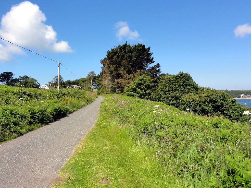 The Road from Dale Fort to Dale