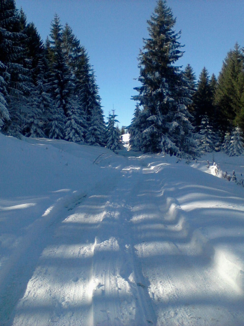 Živinice, januar 2015.