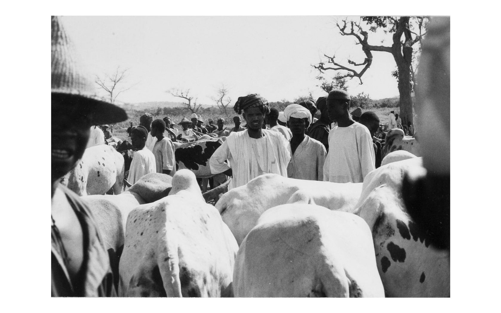 Livestock vendors at the market in Kaya.