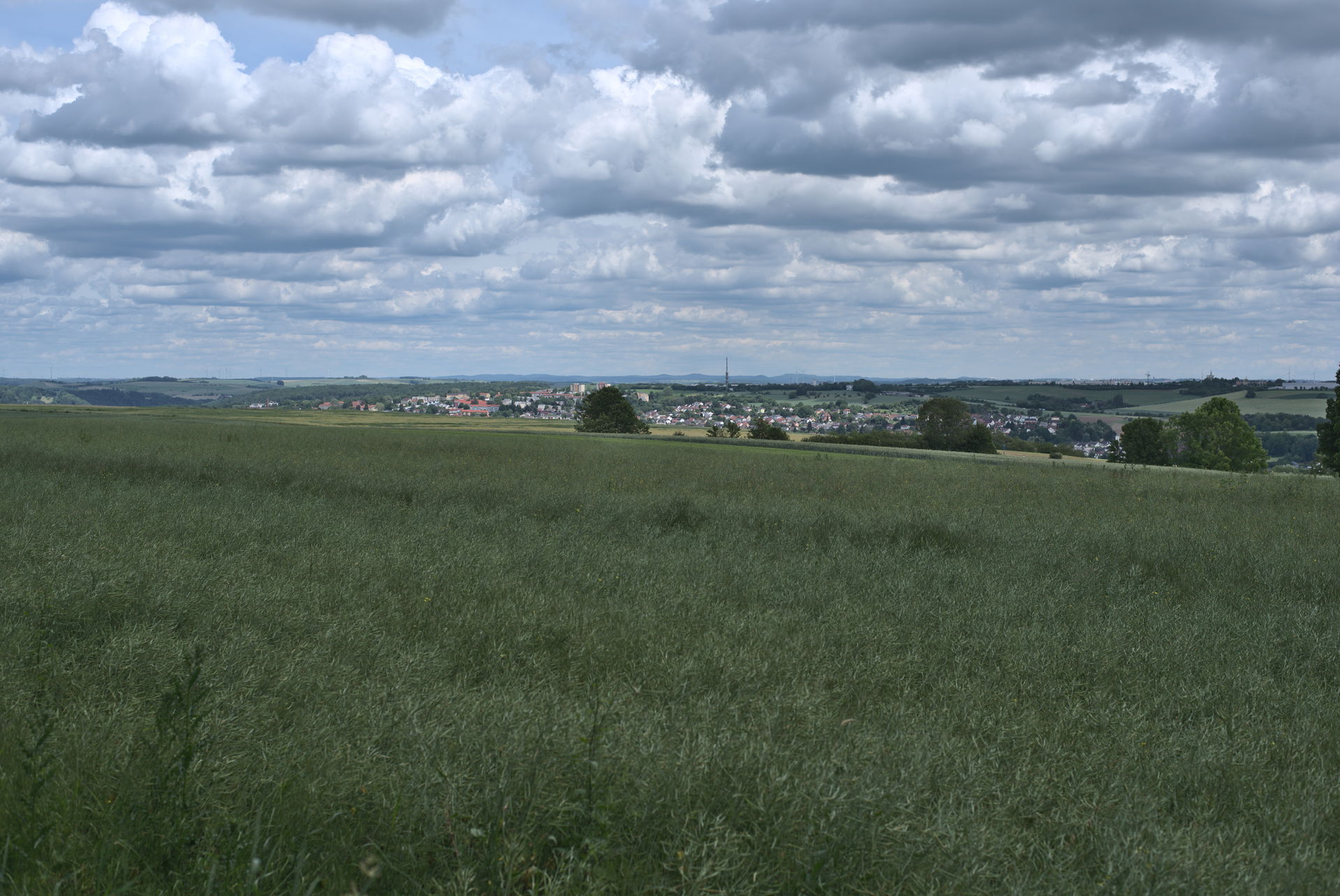 Ausblick von der Anhöhe südlich von Zweibrücken.