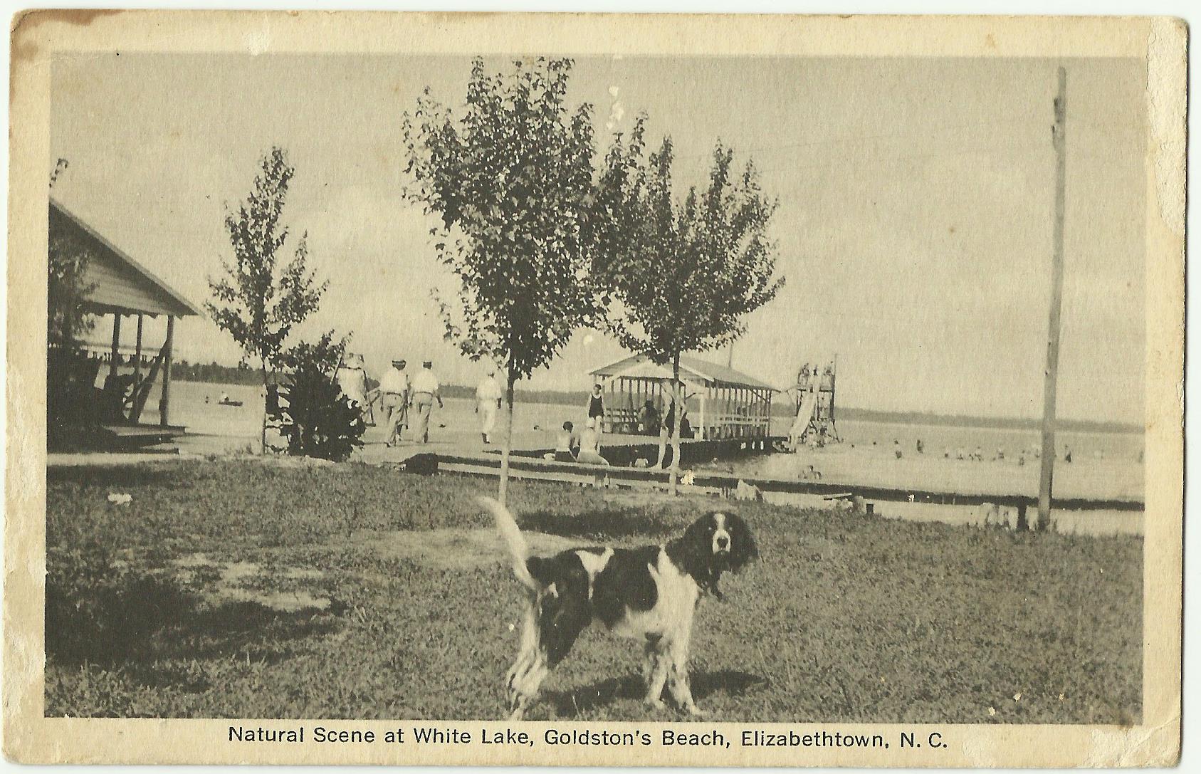 Postcard from addition to the Massengill Collection, PhC.184, S…