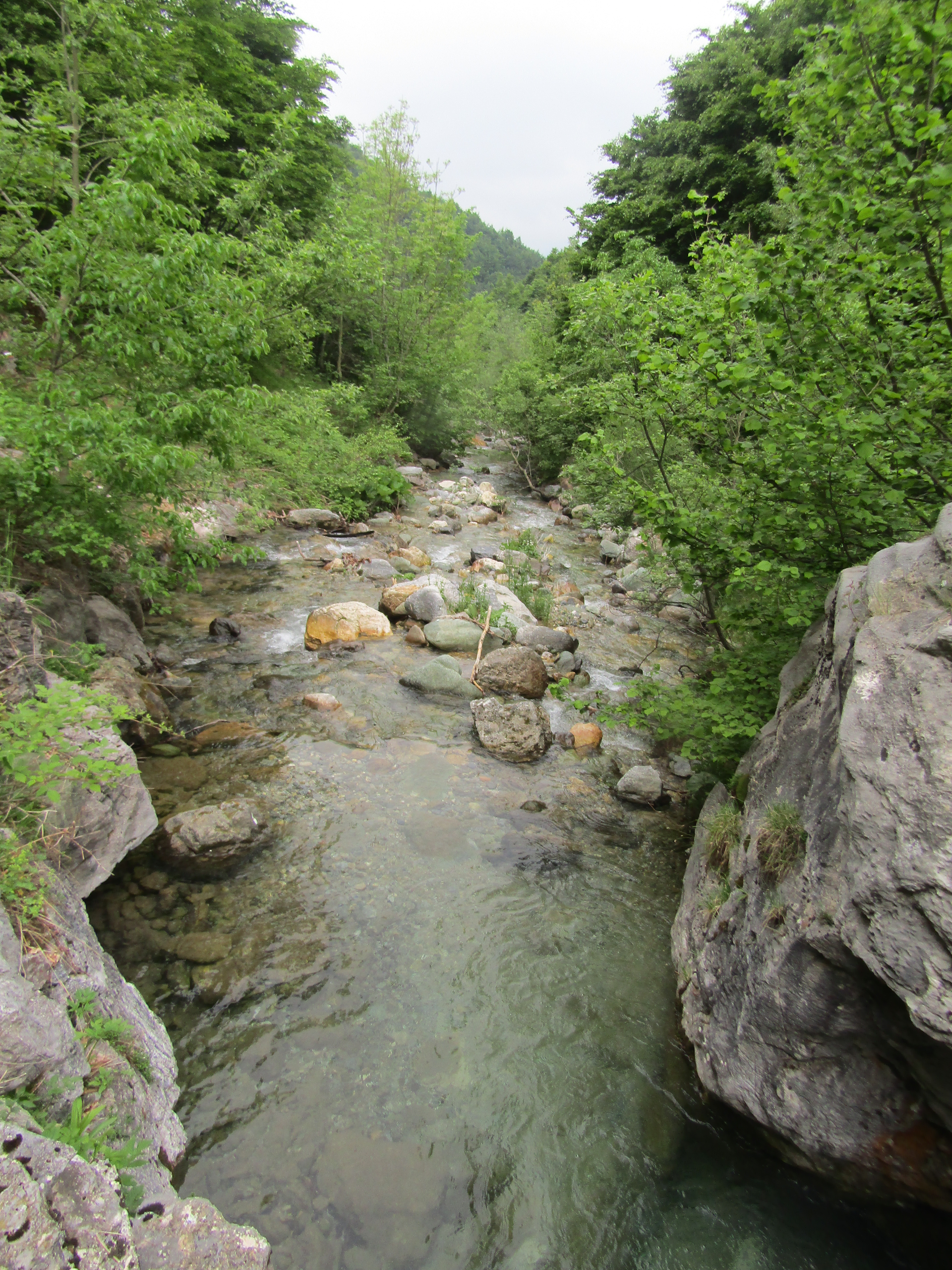 Torrente Valleggia (Valle Almellina, Limone Piemonte, Italy)