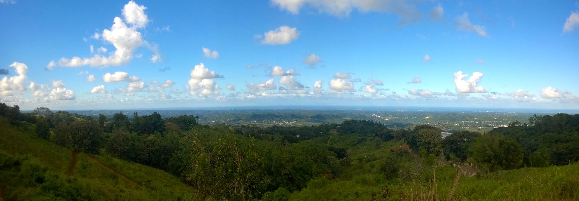 Barrio Negros, Corozal, Puerto Rico (2014)